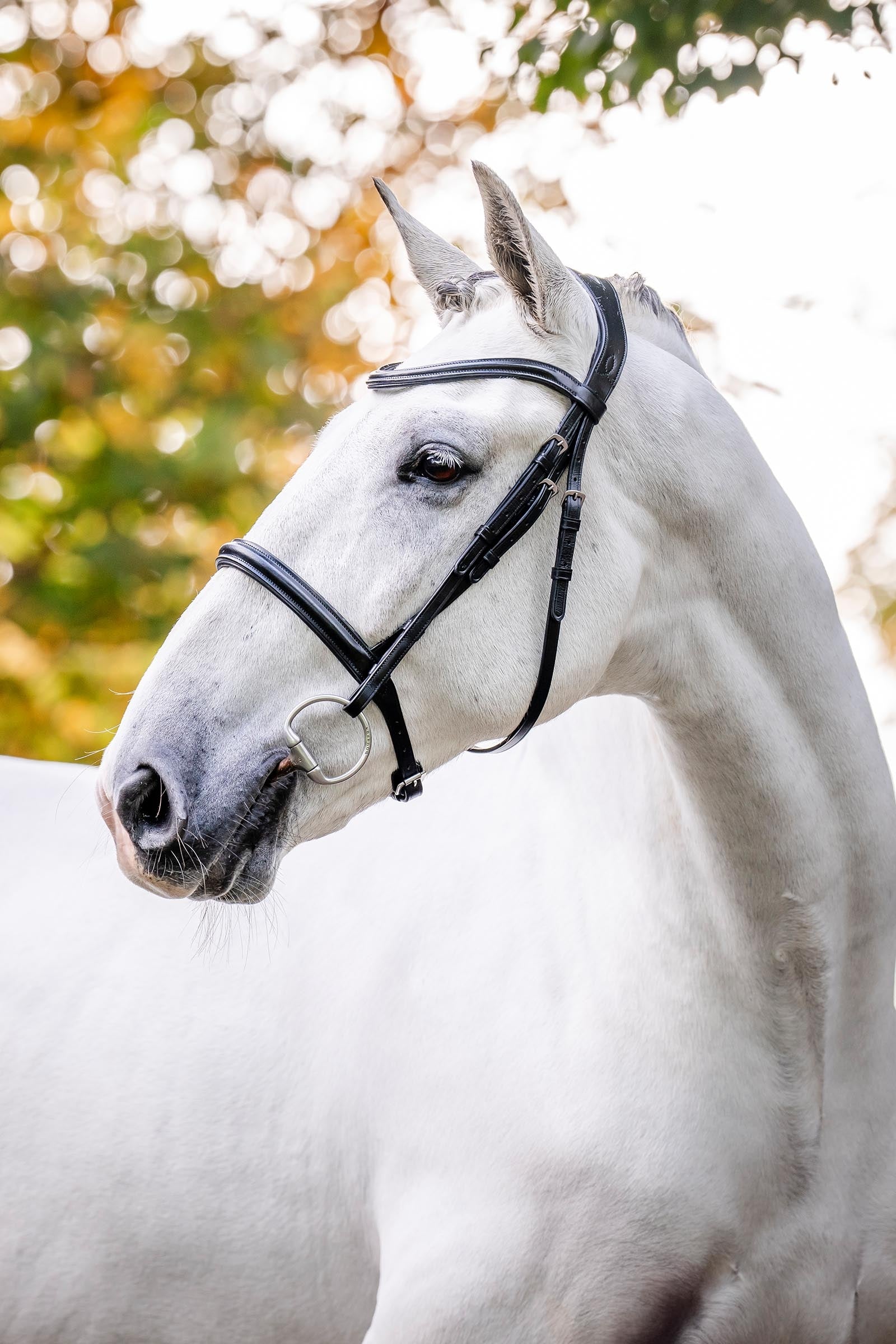 Horseware Cavesson Bridle Bridles & Reins