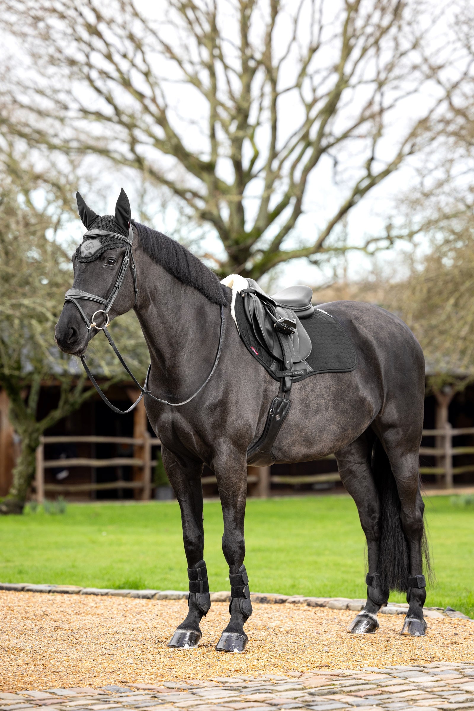 LeMieux Merino+ Suede Eurojump Saddle Pad Saddle Pads