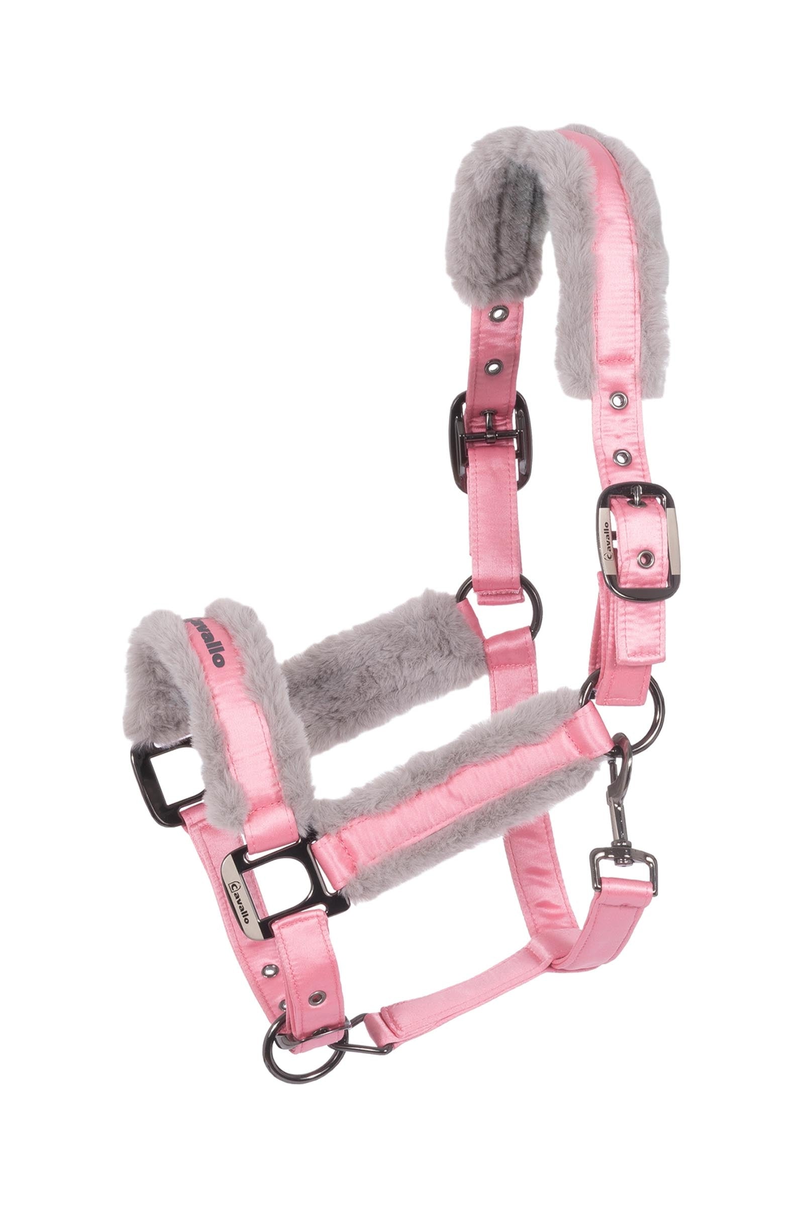 Cavallo CAVALJERO ohlávka Halters & Leads
