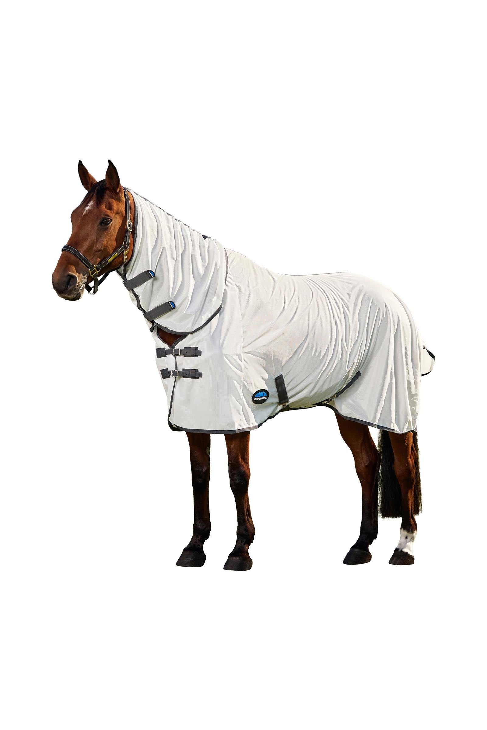 Weatherbeeta ComFiTec Tyro Fliegendecke Kombi s pevným krkem, 0 g Horse Rugs