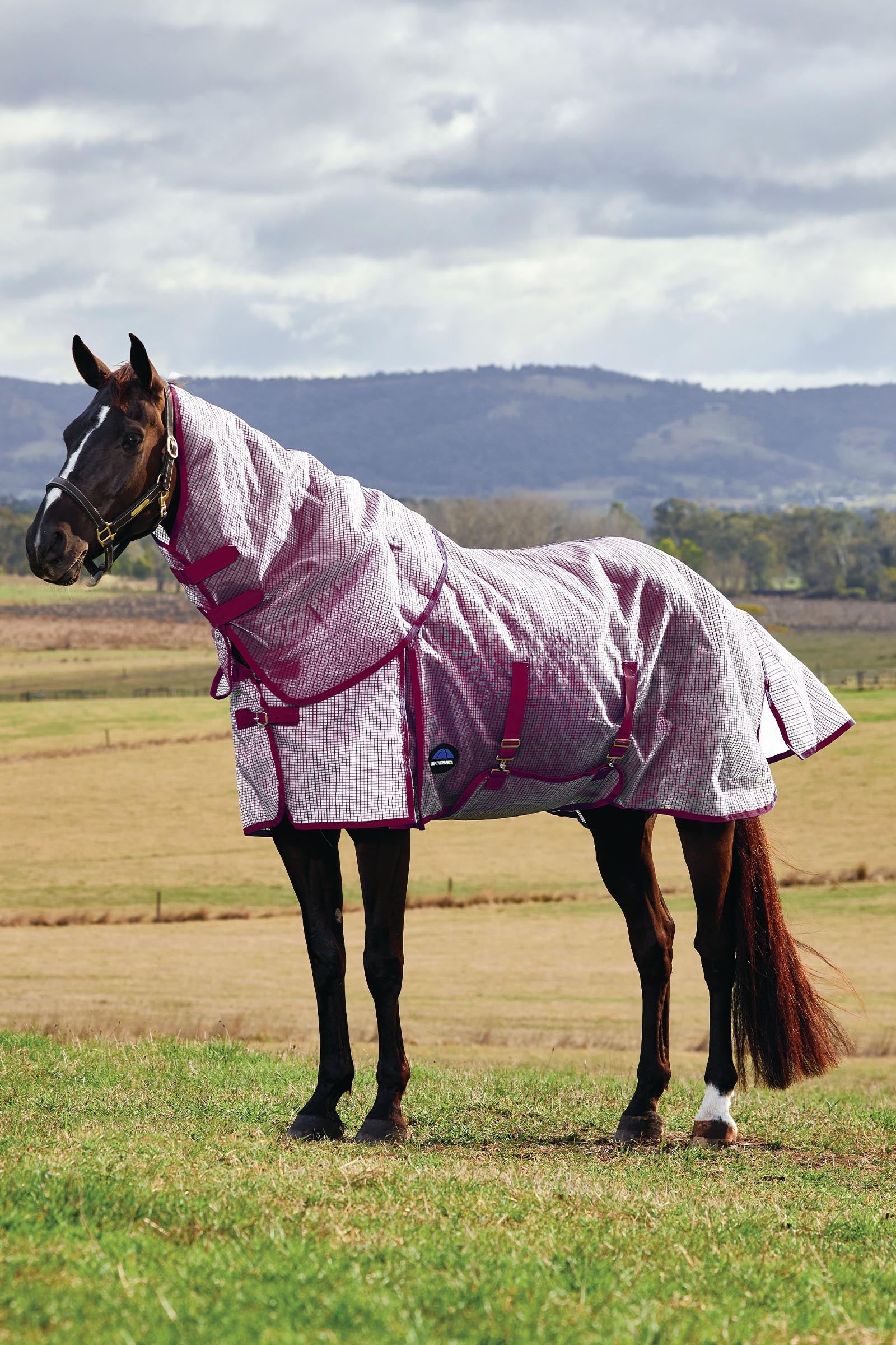 Weatherbeeta Comfitec Ripshield Fly Sheet Detach-a-Neck, 0g Horse Rugs
