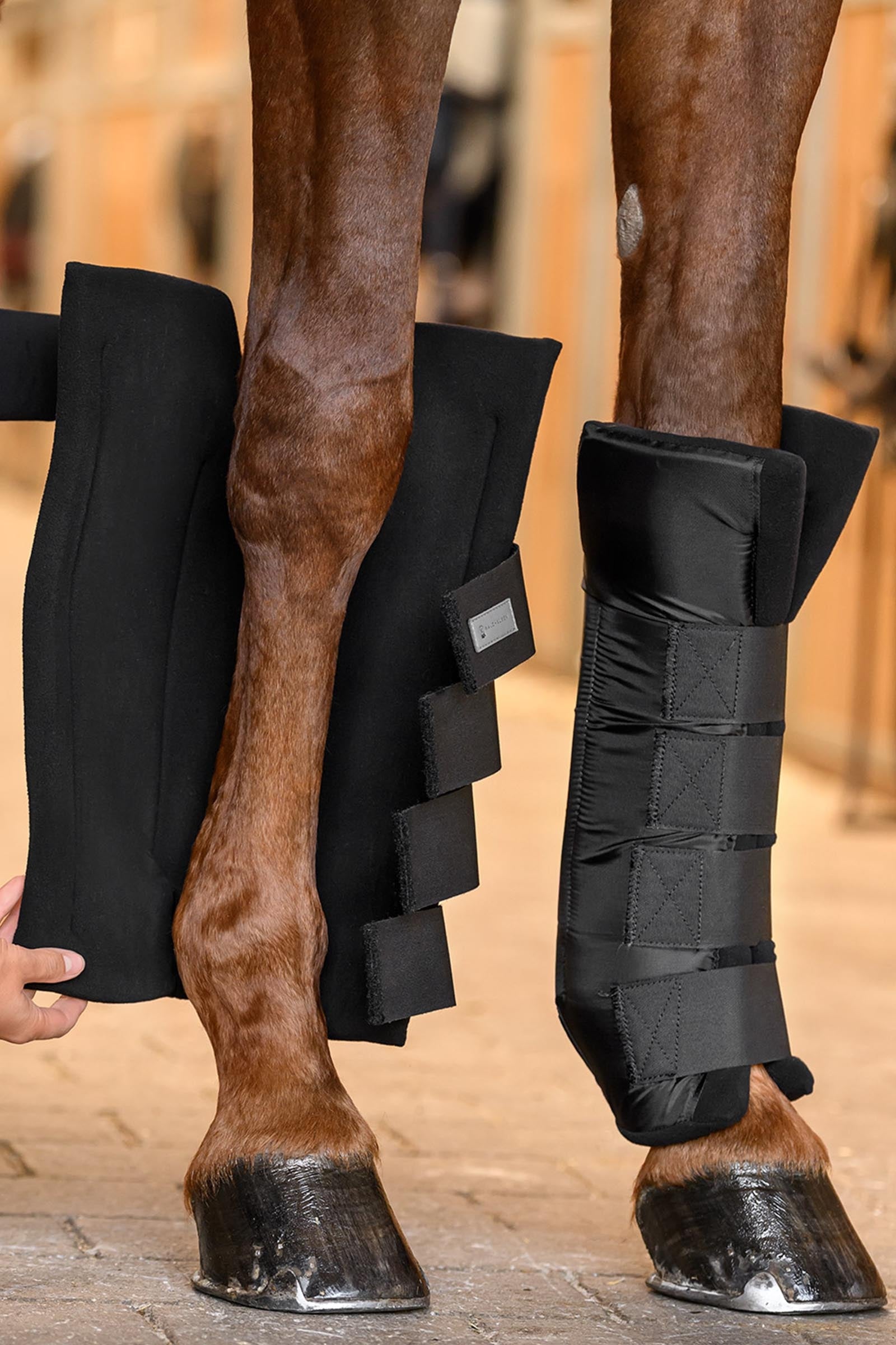 Waldhausen Stable & Transport Boots with Joint Support, front Leg & Hoof Protection