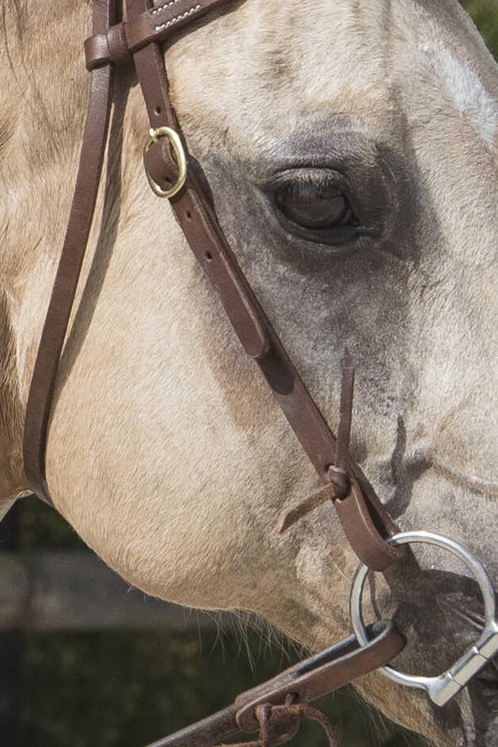 Lifestyle shot 3
