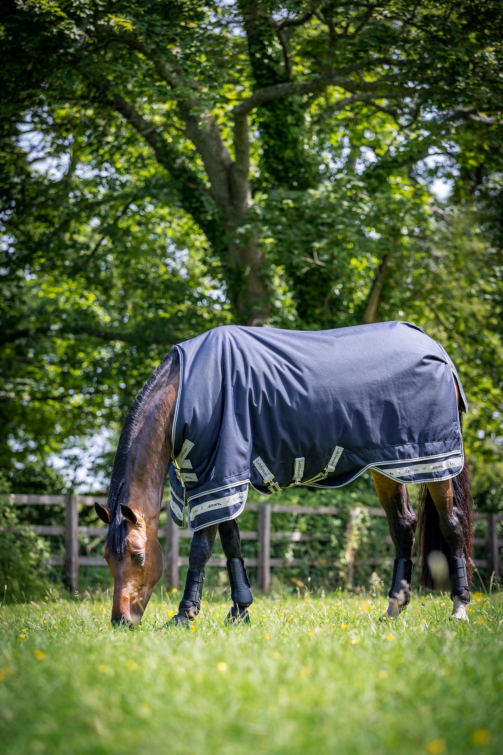 LeMieux Arika Featherweight Turnout Rug, 0 g Horse Rugs