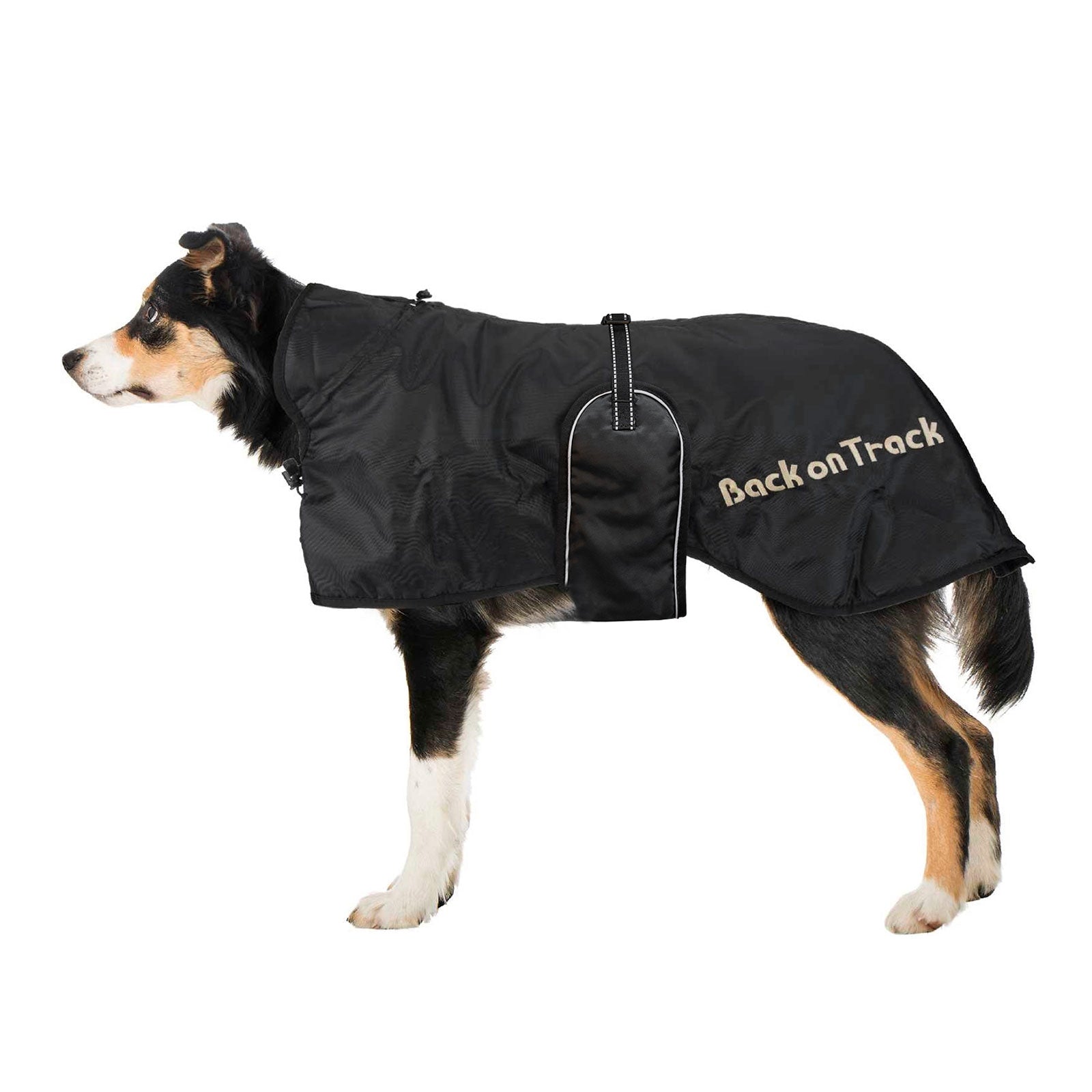 Back on Track Dog Rug (63-91) Dog Accesories