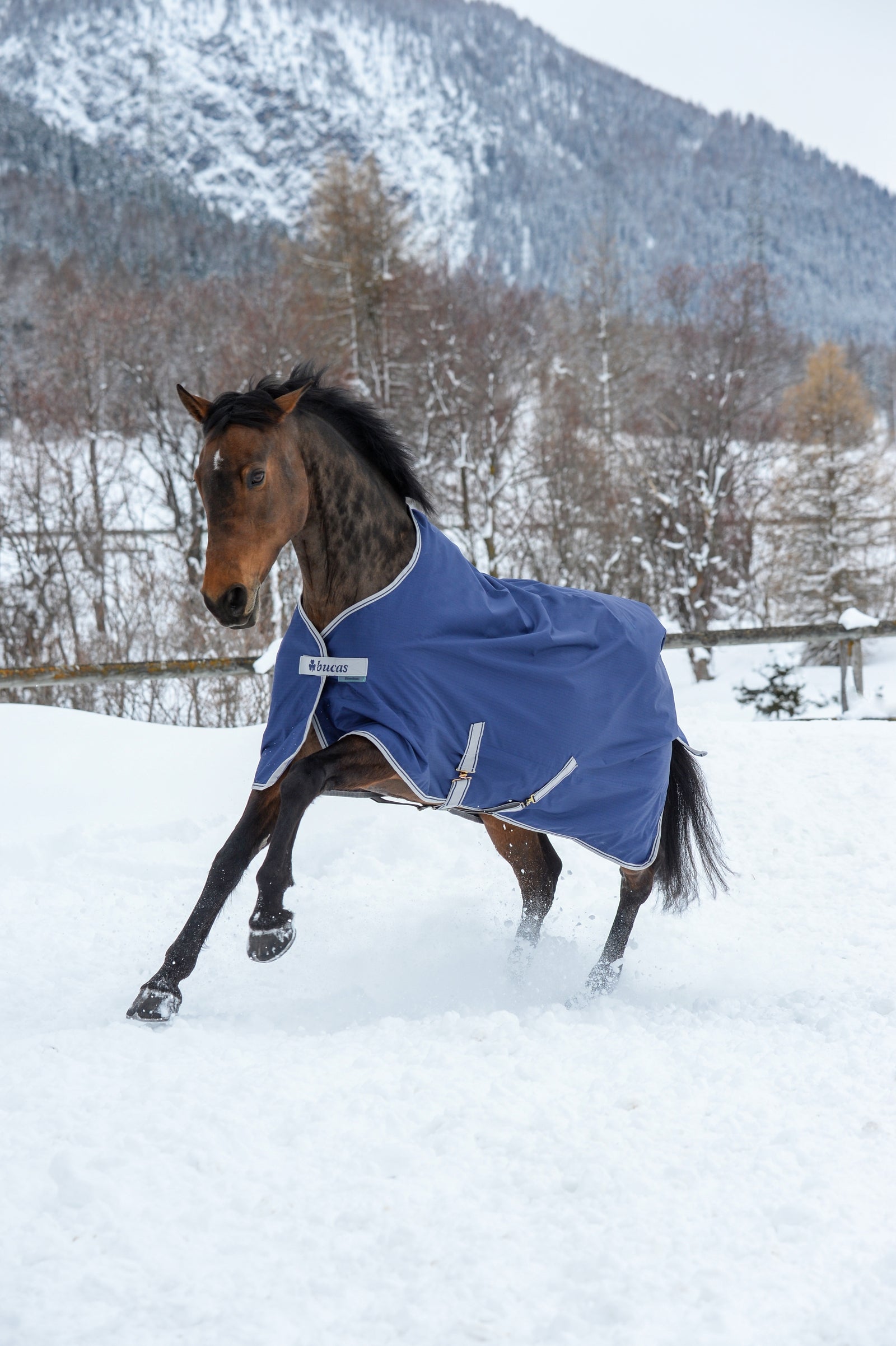 Bucas Freedom výběhová deka, 300g Horse Rugs
