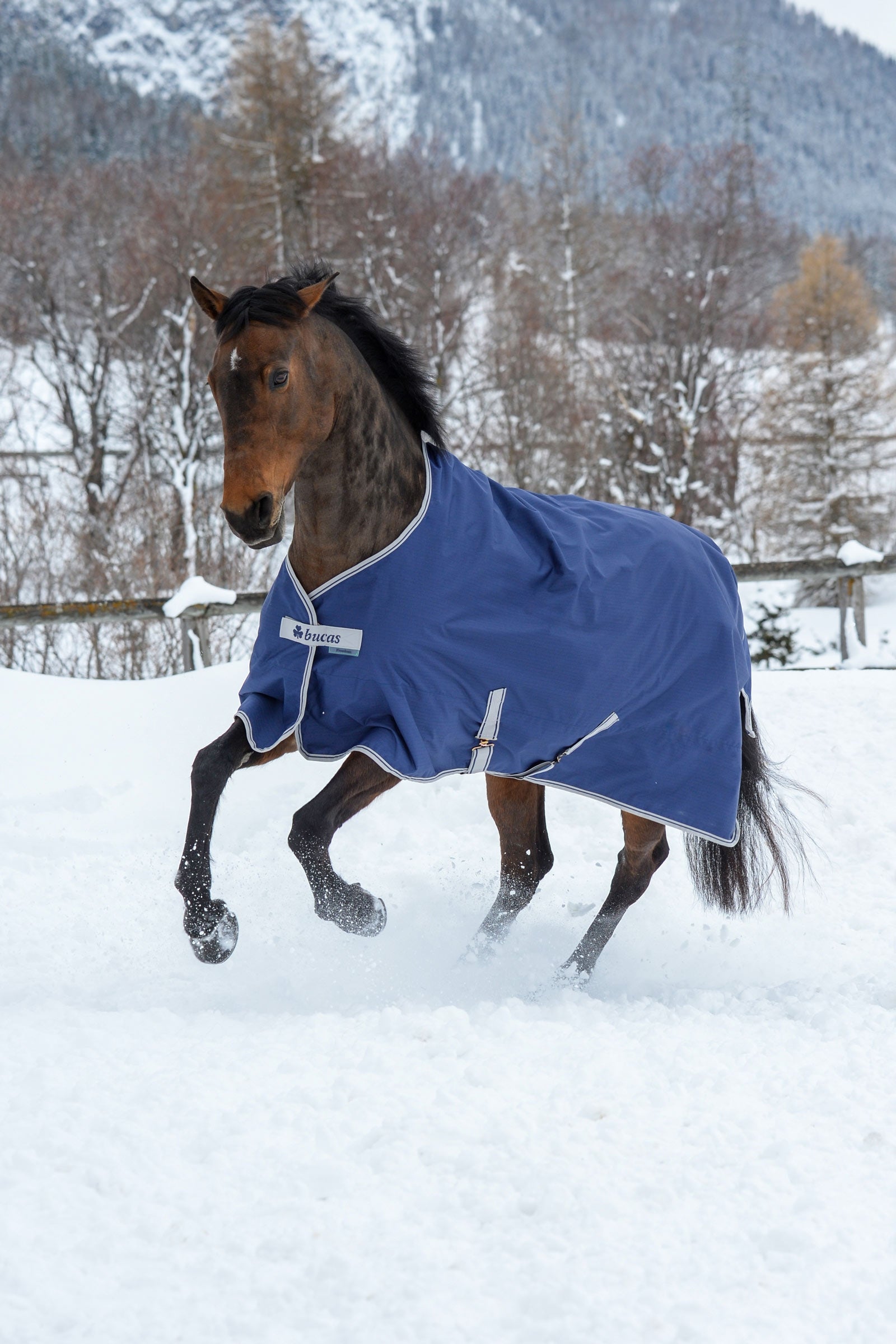 Bucas Freedom Turnout Rug, 300g Horse Rugs