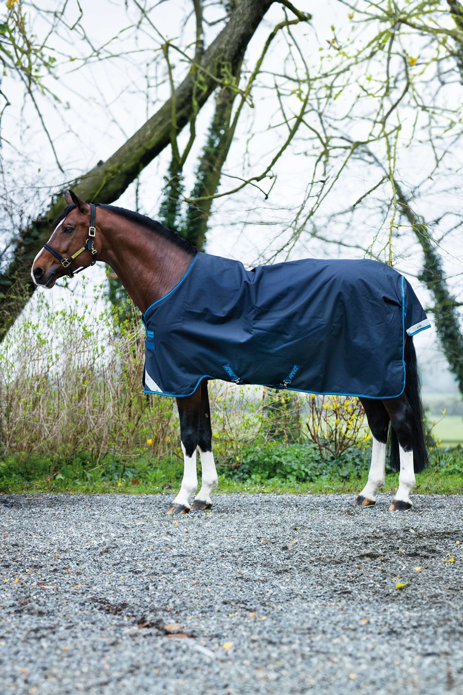 Horseware Amigo Bravo 12 výběhová deka, 100g Horse Rugs