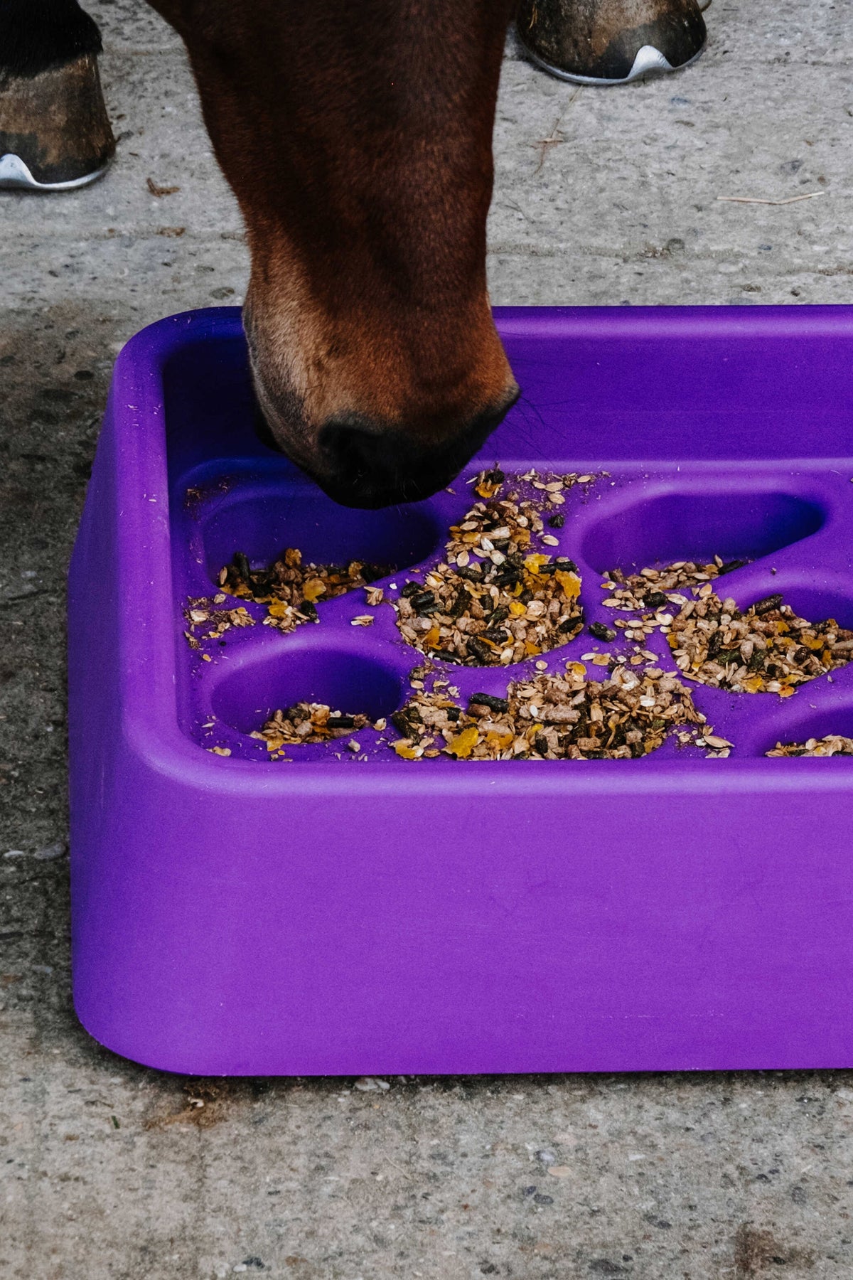 HIPPOTONIC Anti-Gorging Feeder, 14 L Horse Feeders & Waterers