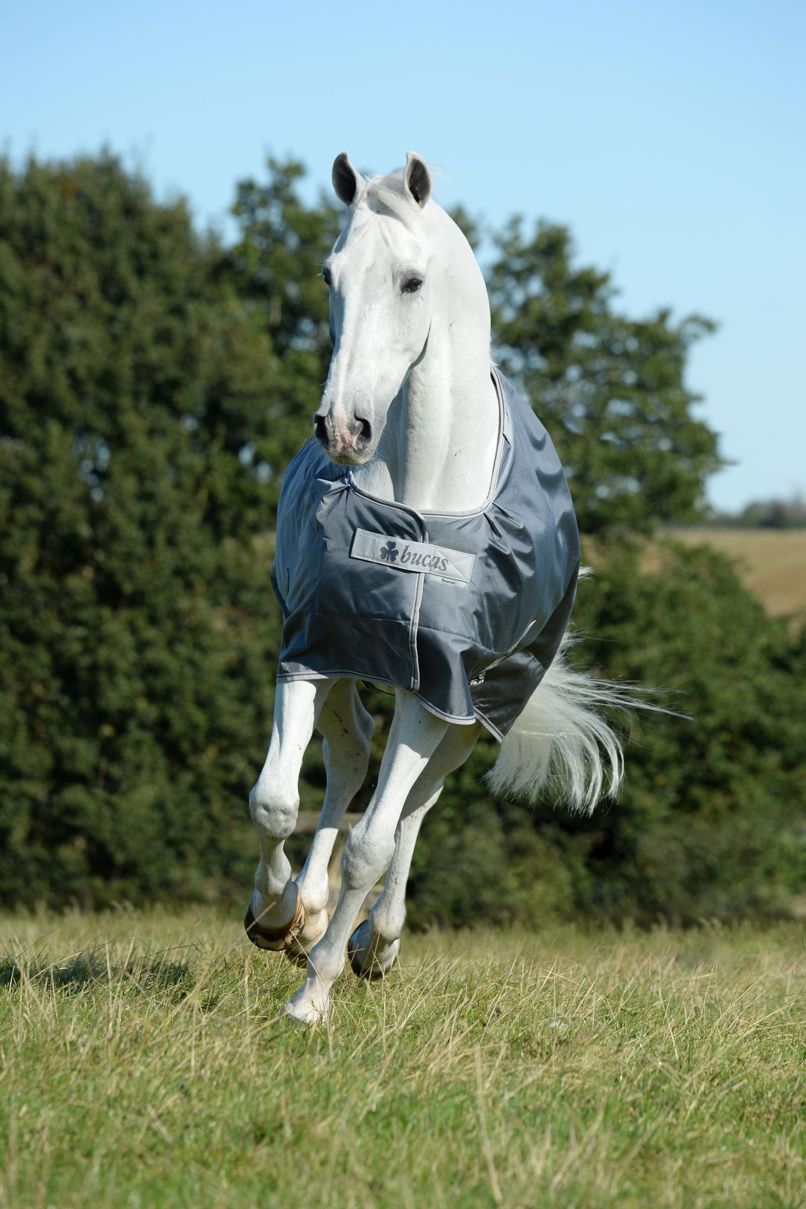Bucas Smartex Medium výběhová deka, 150g Horse Rugs