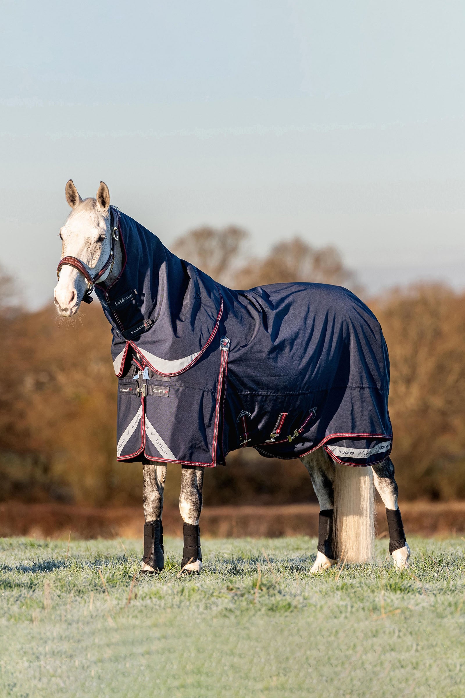 LeMieux Kudos Lightweight Turnout Rug, 100 g Horse Rugs