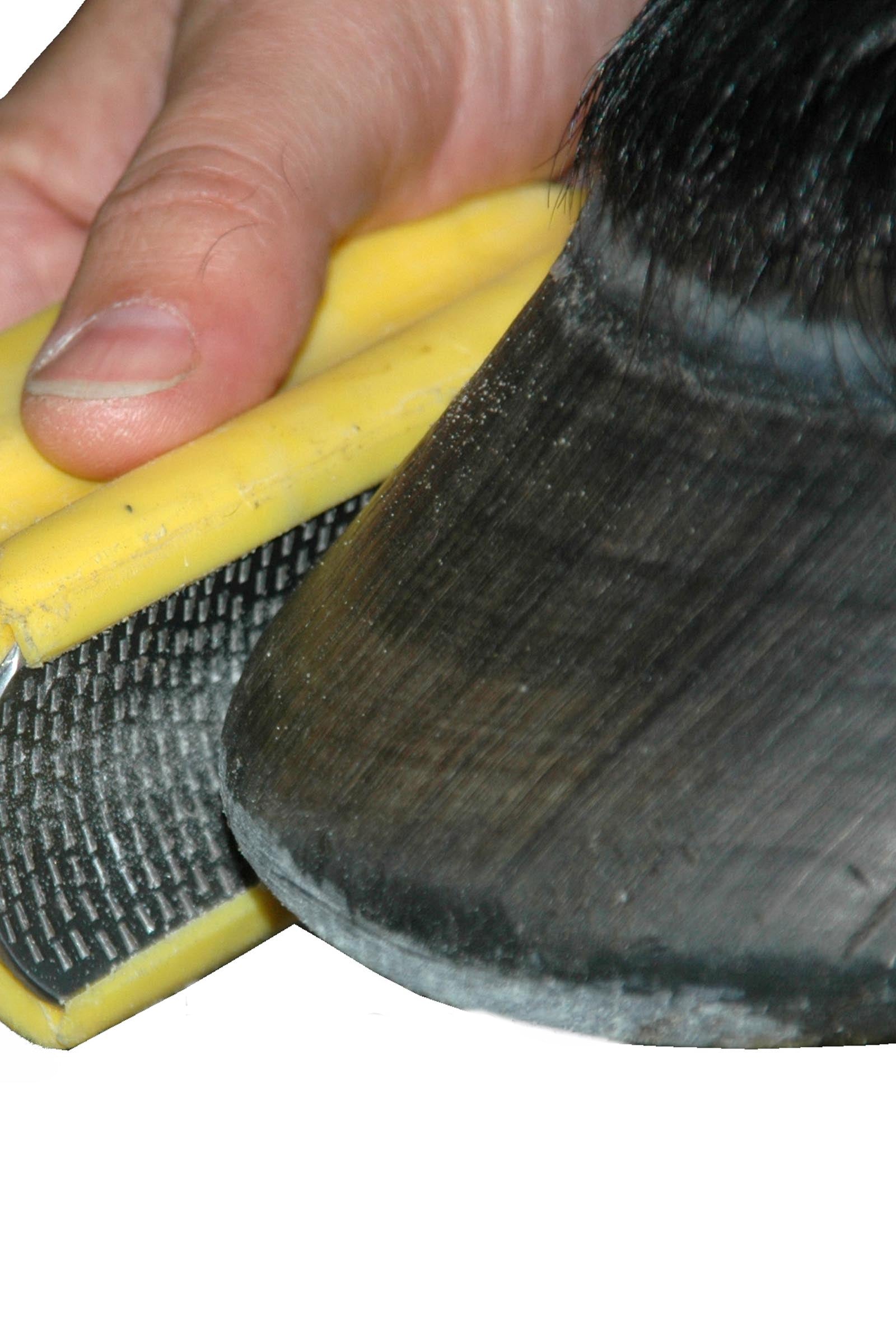 F.R.A. Freedom Riding Articles Simple Rasp, Replacaeble Wrought Iron Blade, Fine Finish Farrier Tools