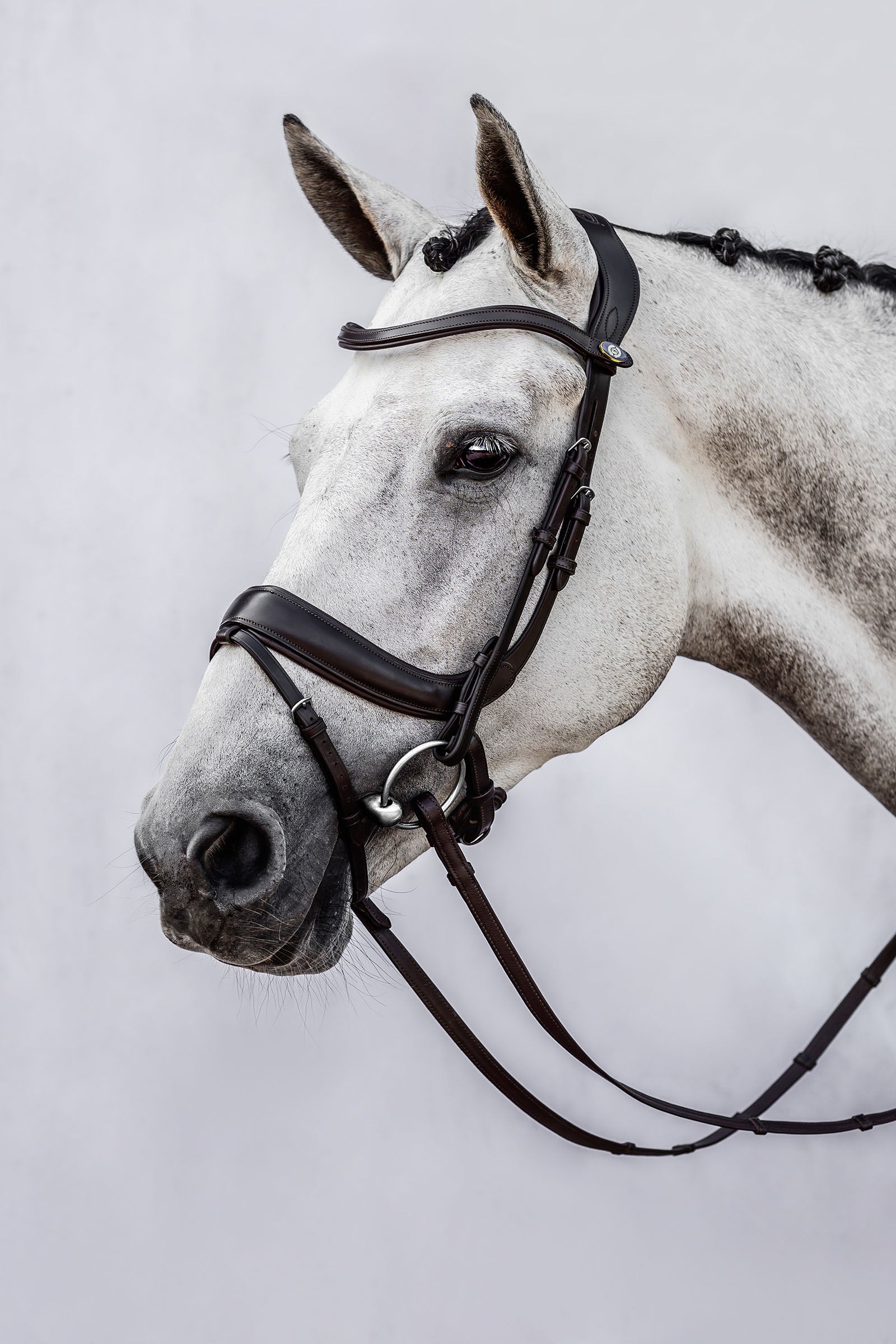 PS of Sweden Paladin uzda Bridles & Reins