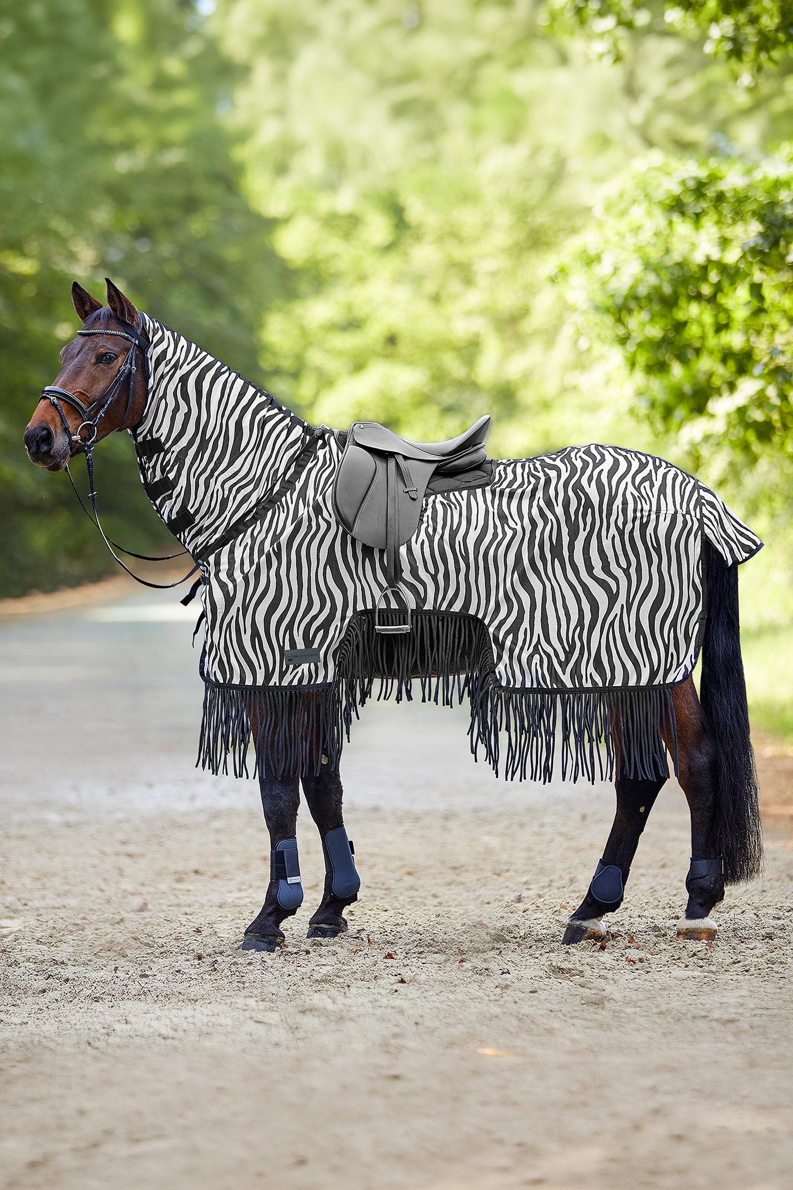 Waldhausen Zebra deka proti hmyzu se sedlovým výřezem a třásněmi, UV ochrana Horse Rugs