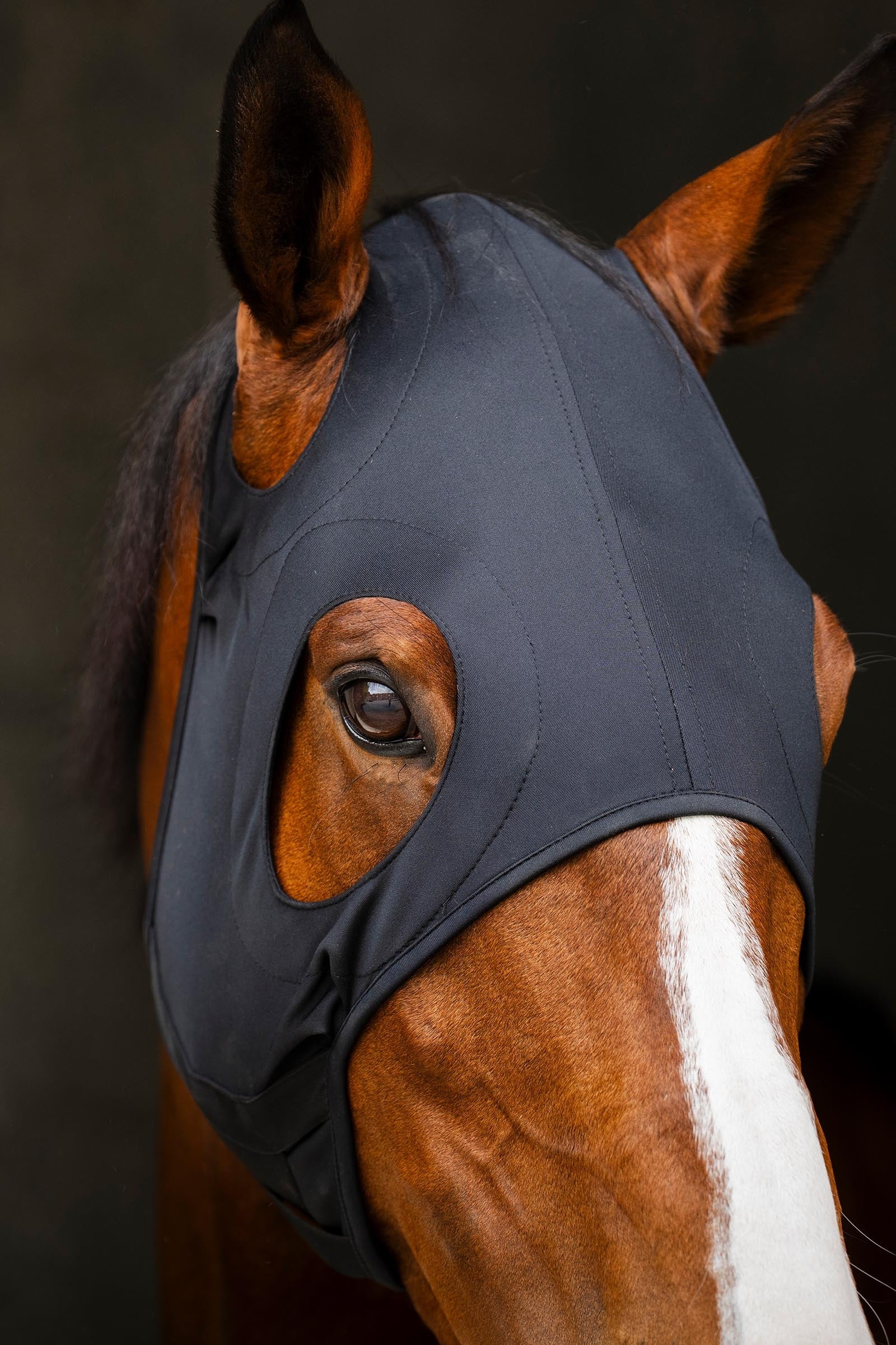 Horseware Ionic Calming Face Mask Antifly Protection for Horses