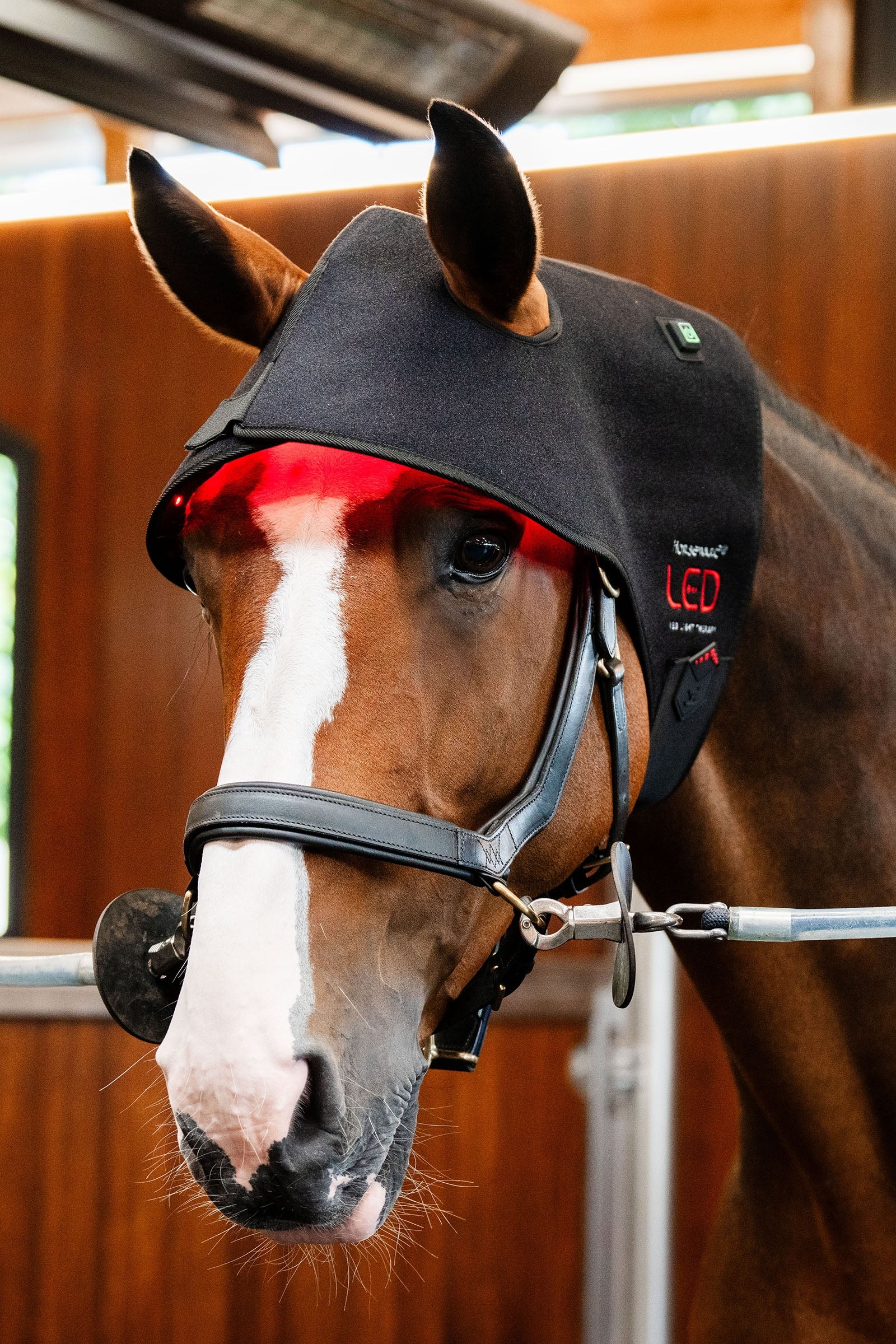 Horseware LED červená terapeutická čepice na týl Horse Rugs
