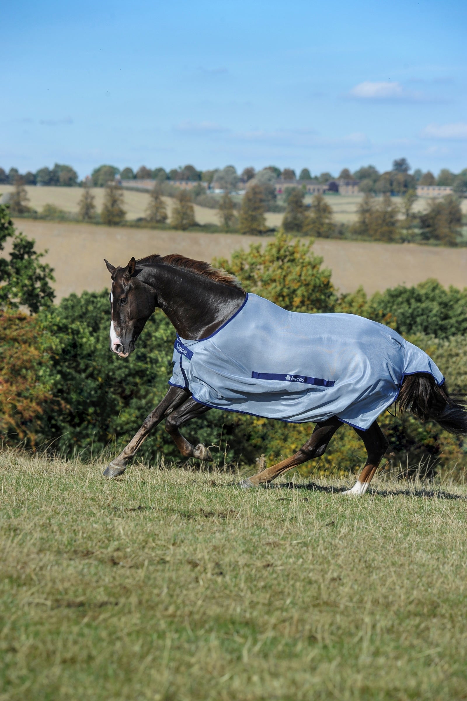 Bucas Buzz-Off Classic mucholapka Horse Rugs
