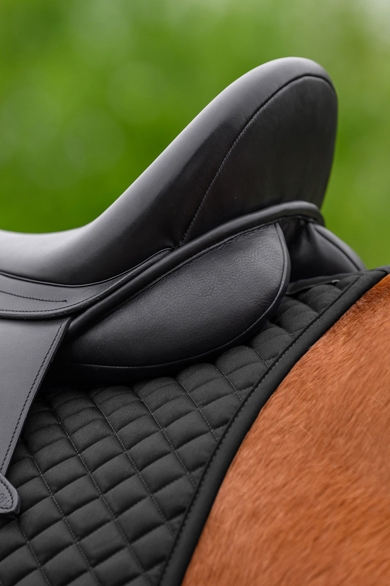 Waldhausen Felix Universal Dressage Saddle Pad Saddle Pads