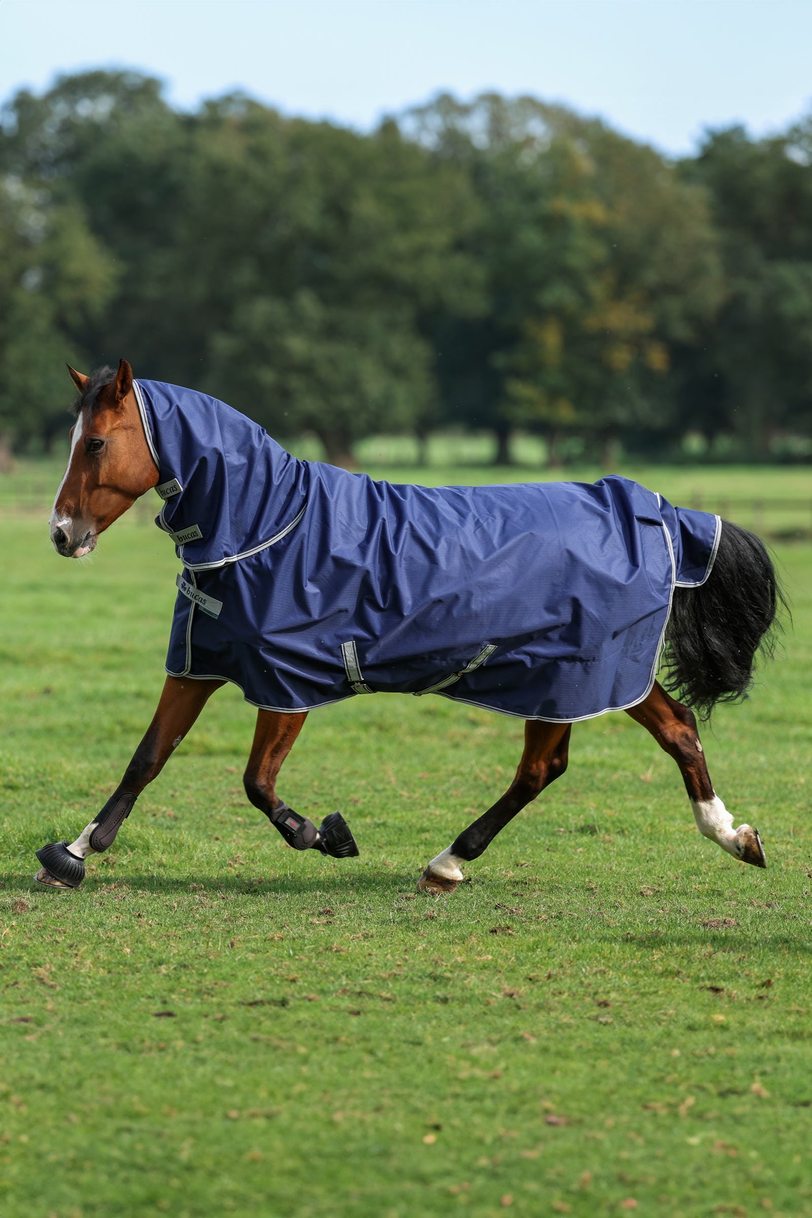 Bucas Freedom Turnout Rug with fixed Full Neck (150g / 150g) Horse Rugs
