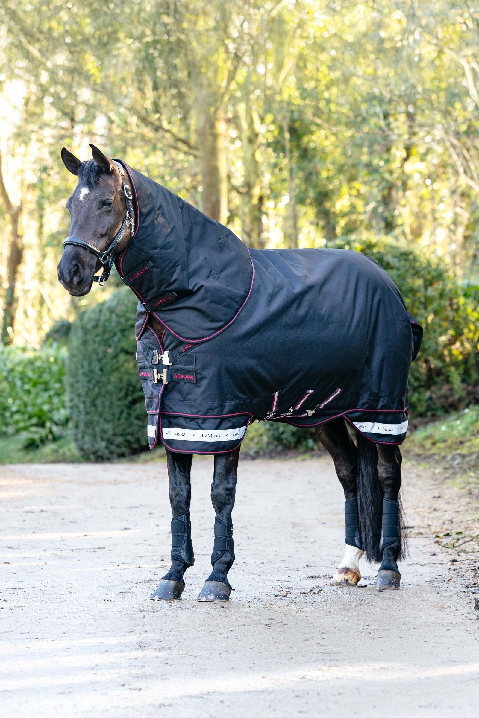 LeMieux Arika Storm-Tek výběhová deka s odepínacím krkem, 200 g Horse Rugs