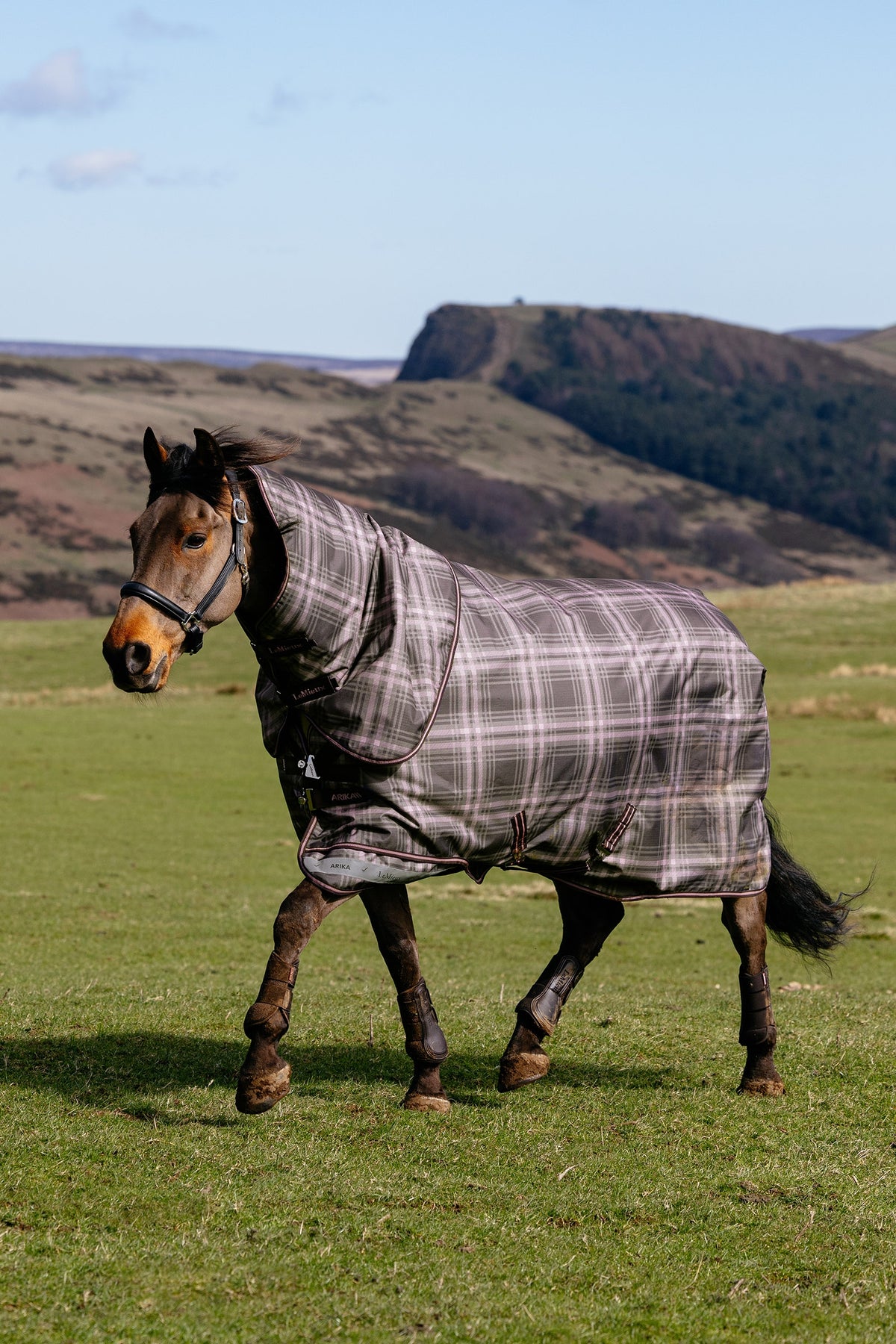 LeMieux Arika Heritage Check Turnout Rug, 200 g Horse Rugs