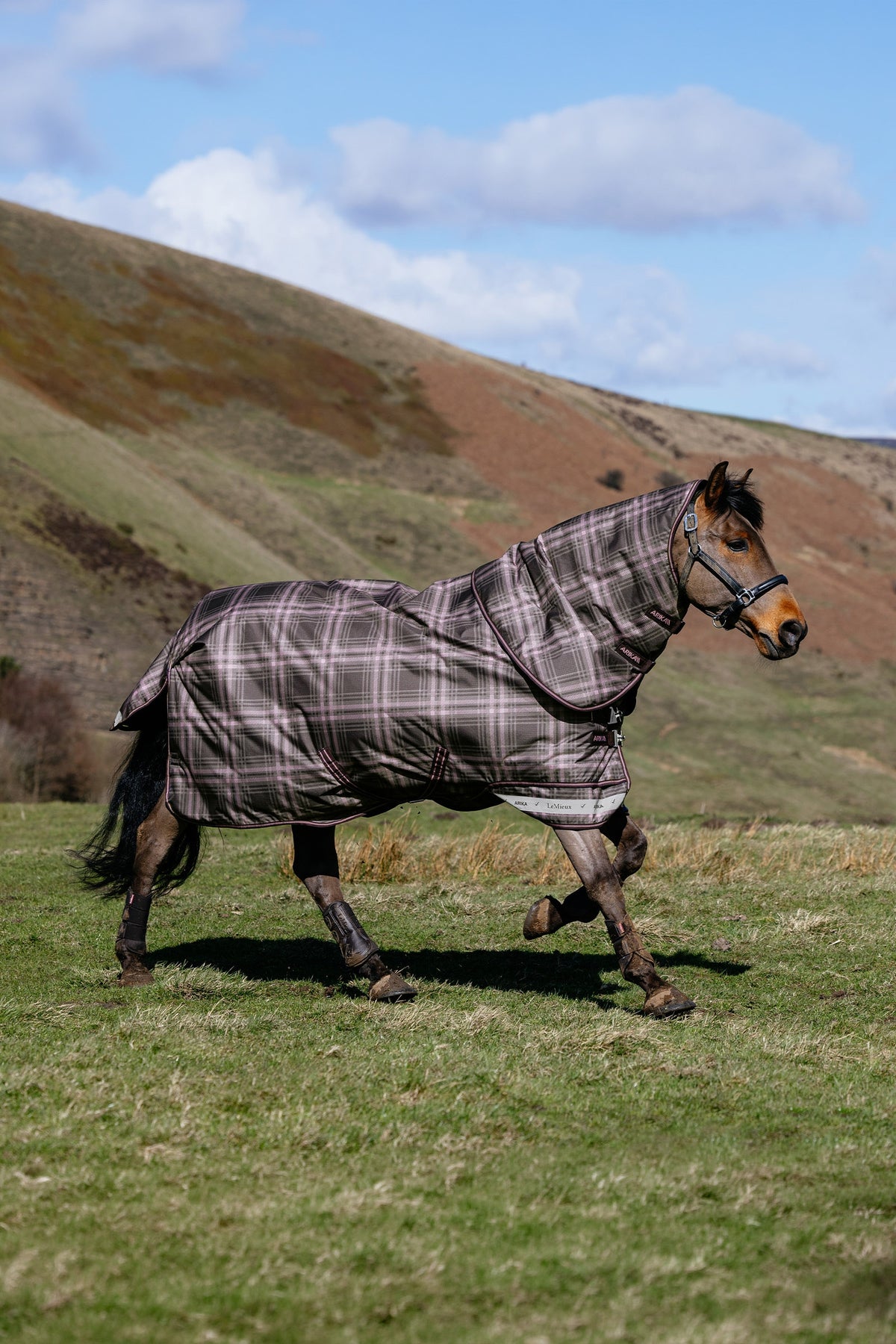 LeMieux Arika Heritage Check Turnout Rug, 200 g Horse Rugs