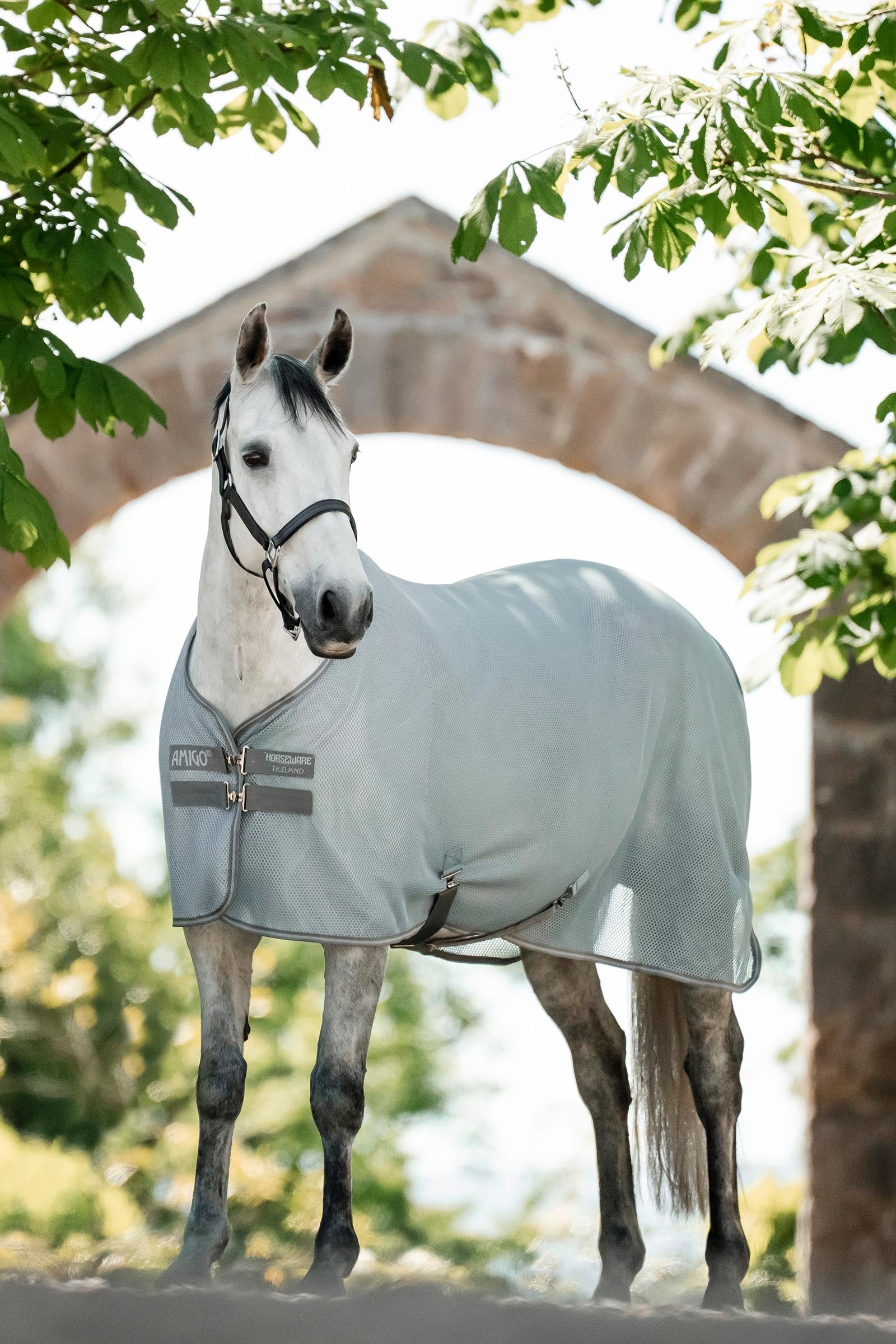 Horseware Amigo AirNet Cooler Horse Rugs