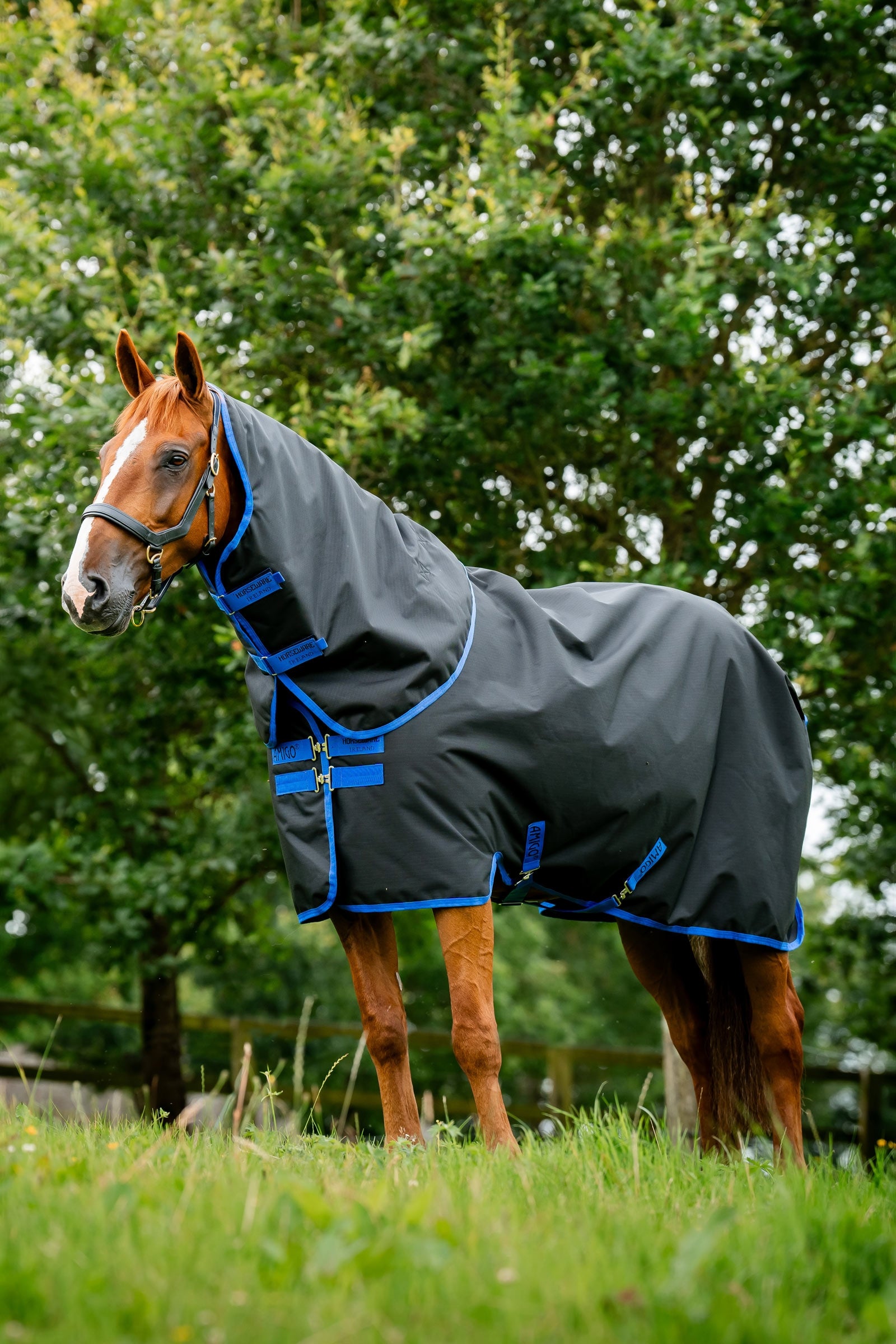 Horseware Amigo Ripstop 900D Plus výběhová deka, 0 g Horse Rugs