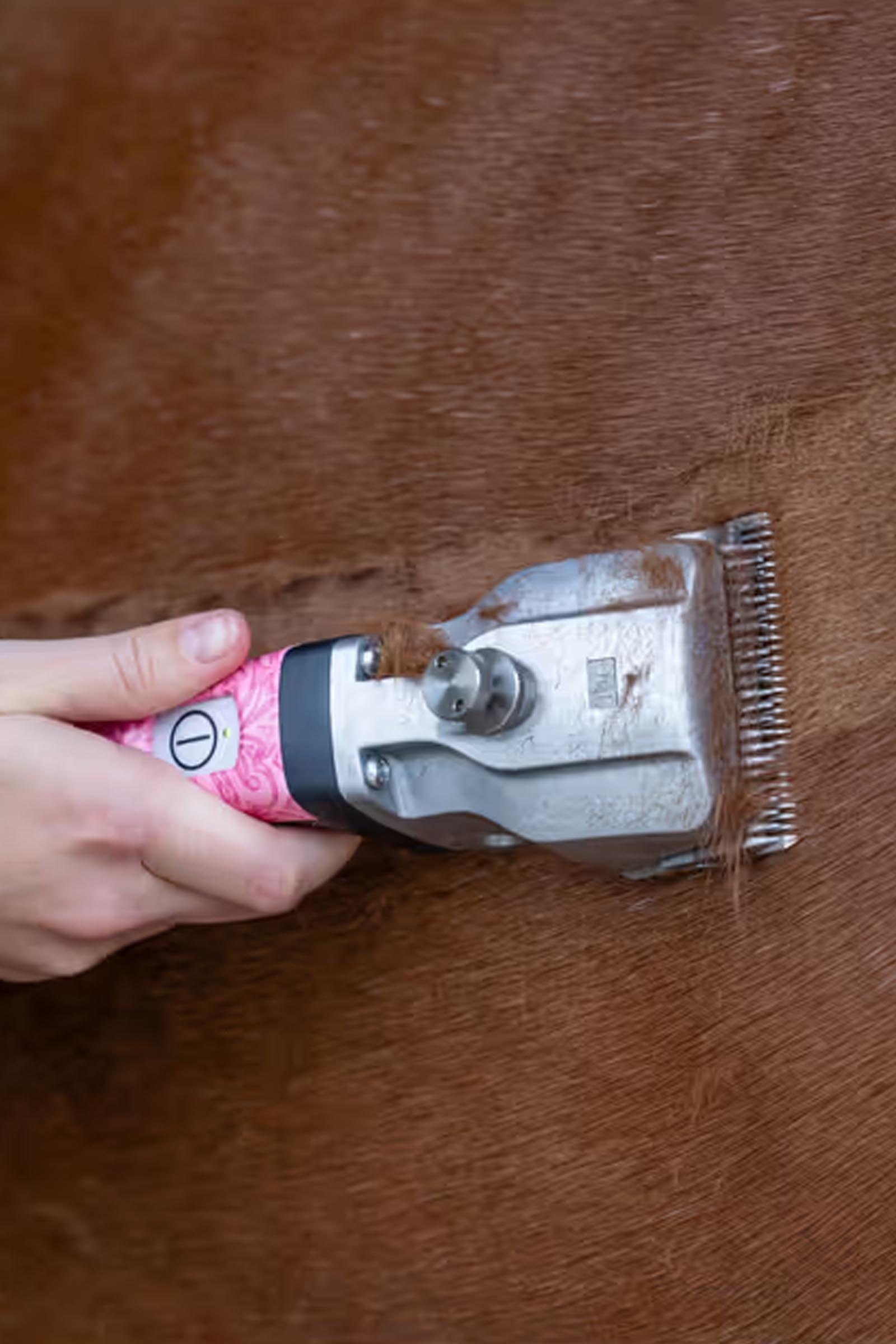 Aesculap Bonum Pro Horse Clipper With 1 Battery Horse Clipping & Trimming Tools