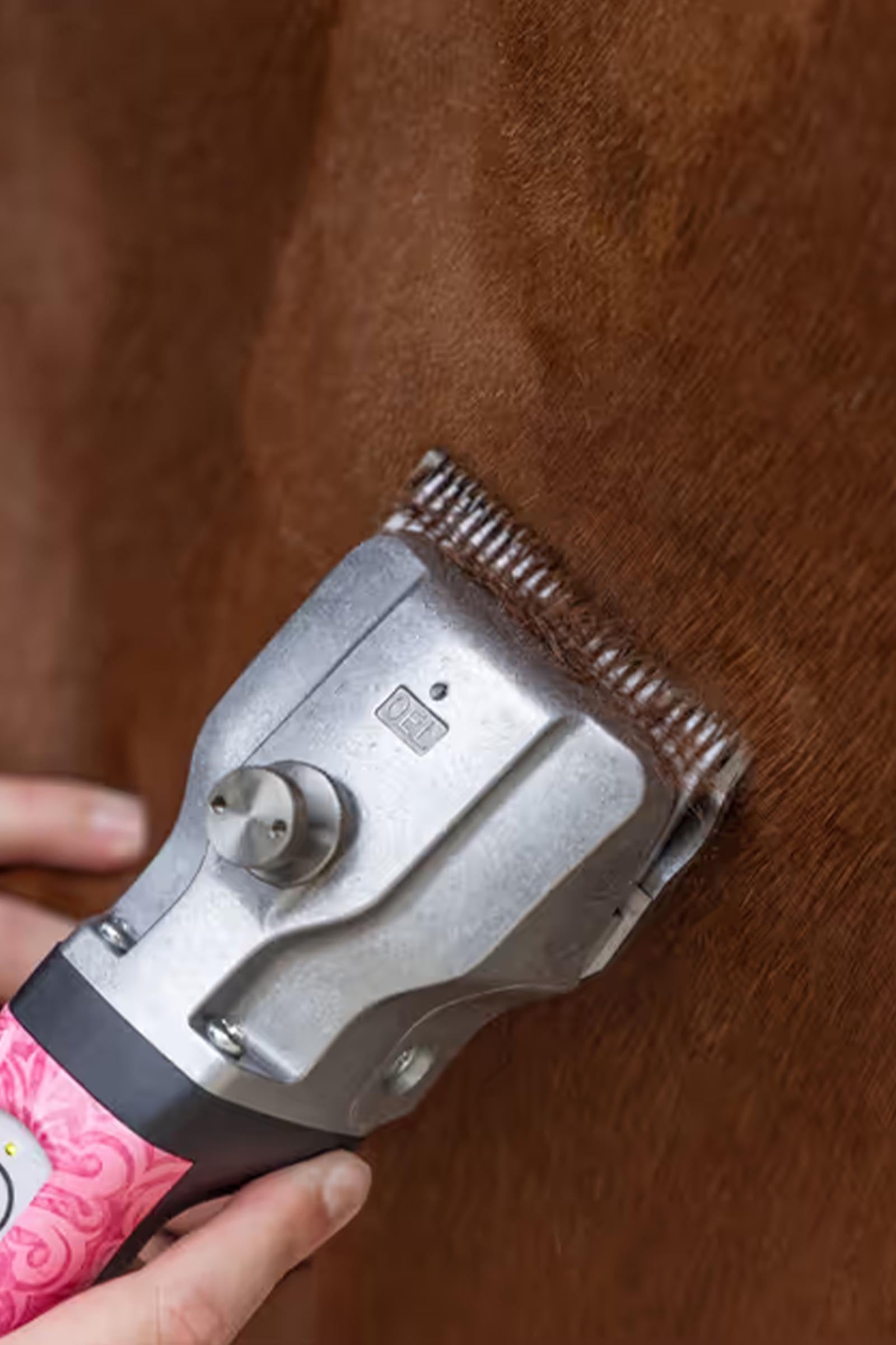 Aesculap Bonum Pro Horse Clipper With 1 Battery Horse Clipping & Trimming Tools