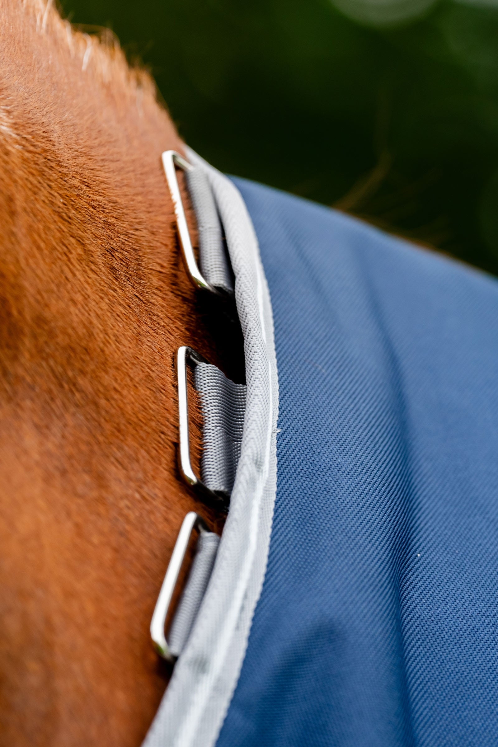 Horseware Amigo Bravo 12 Plus 100g Horse Rugs