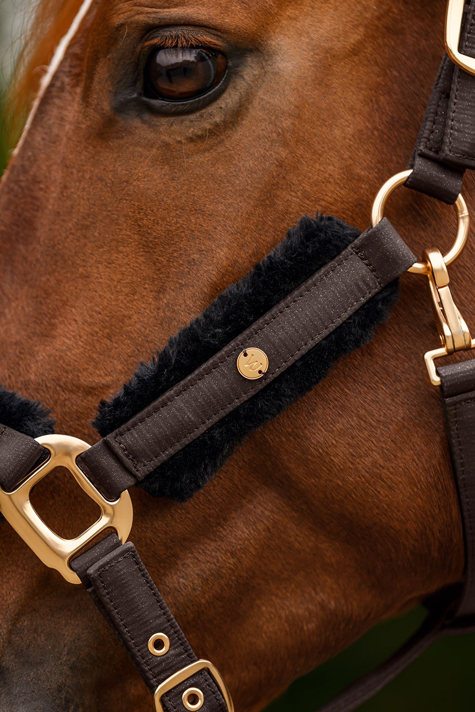 Lifestyle shot 2
