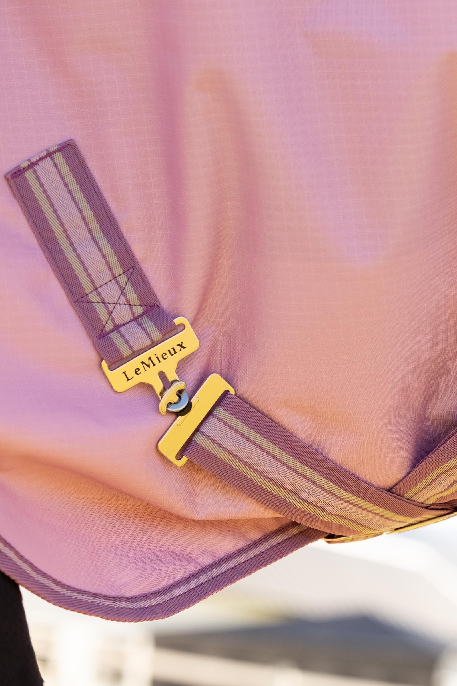 LeMieux Arika Ripstop Turnout Rug With Detachable Neck, 50g Horse Rugs