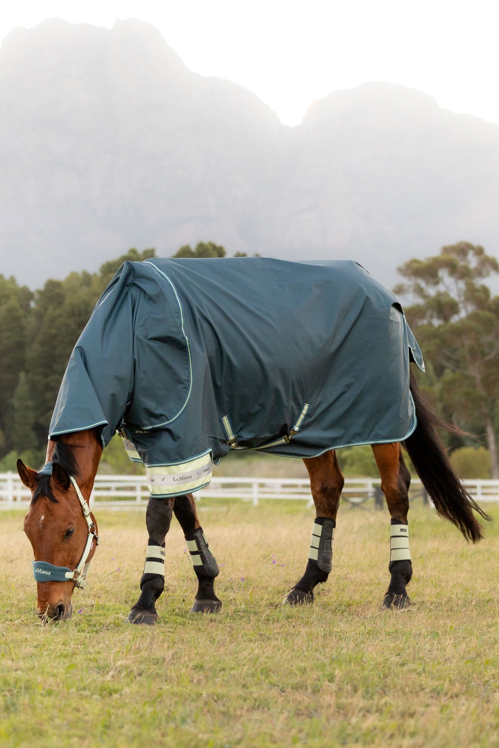 LeMieux Arika ripstop výběhová deka s odnímatelným krkem 50 g Horse Rugs