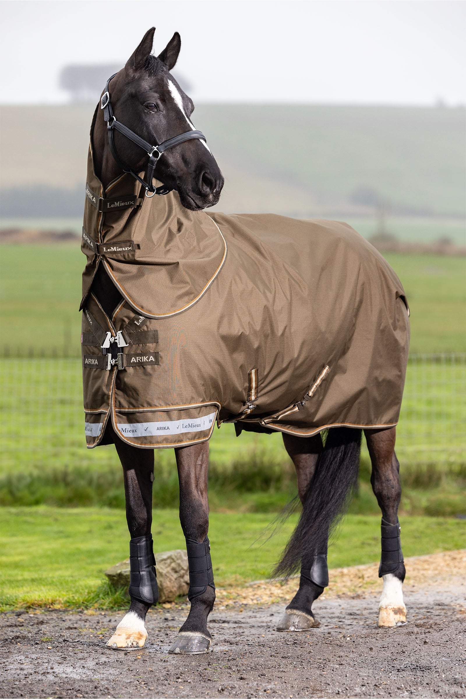 LeMieux Arika ripstop výběhová deka s odnímatelným krkem 50 g Horse Rugs