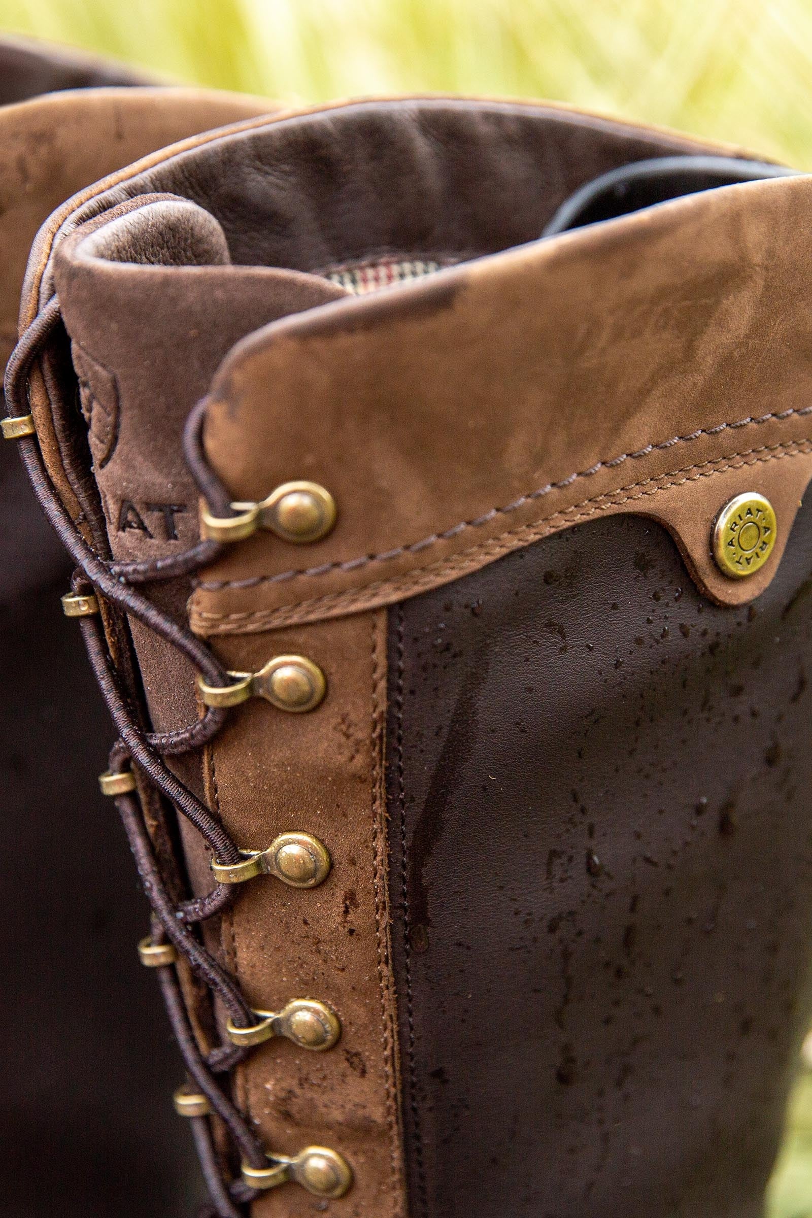 Ariat Coniston Max Waterproof Insulated Womens's Boots Riding Boots & Riding Shoes