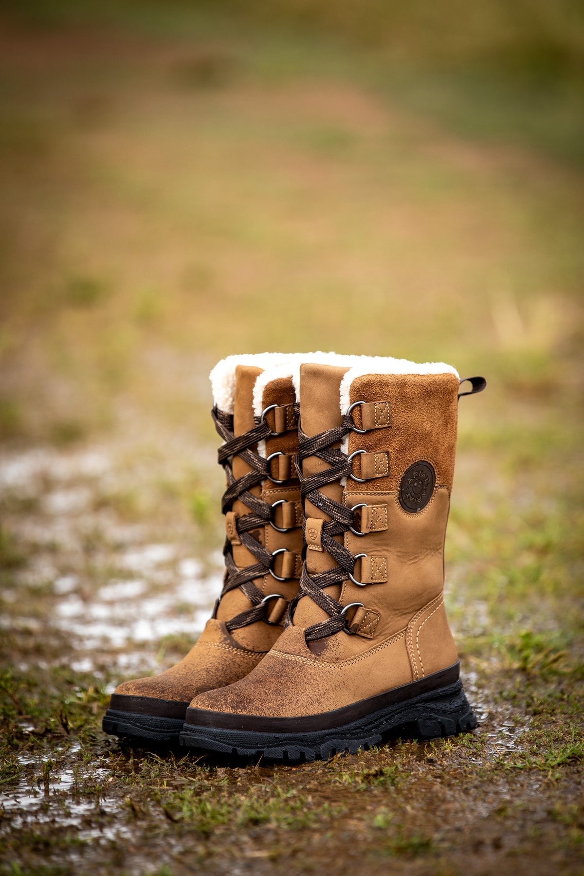 Ariat Women's Wetherby Waterproof Insulated Boot Riding Boots & Riding Shoes