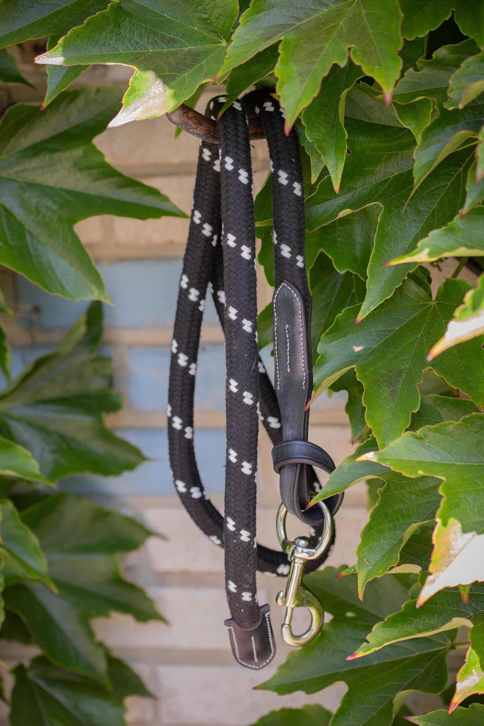 PENELOPE Longe In Rope and Leather (1,5 m) Horse Training