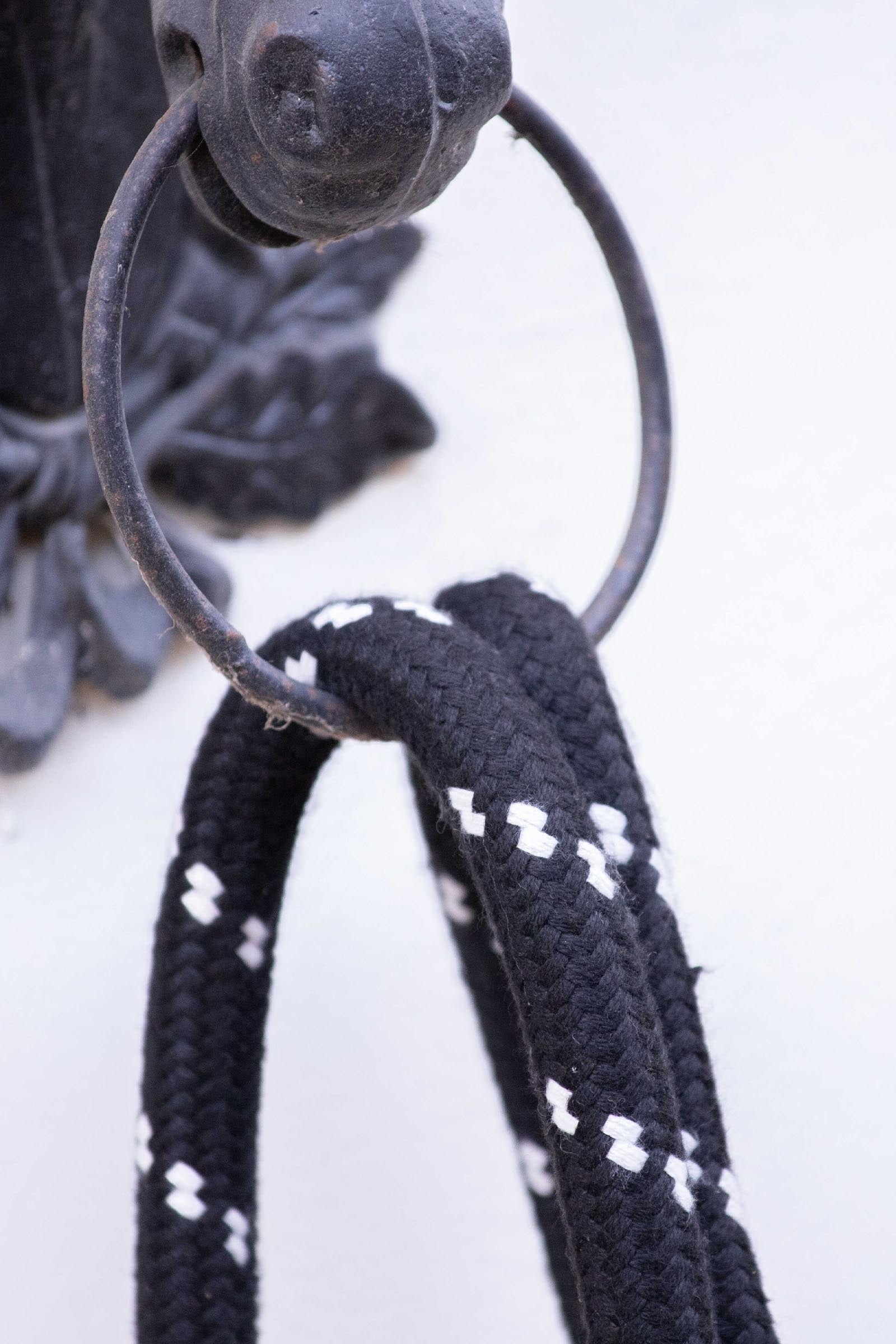 PENELOPE Longe In Rope and Leather (1,5 m) Horse Training