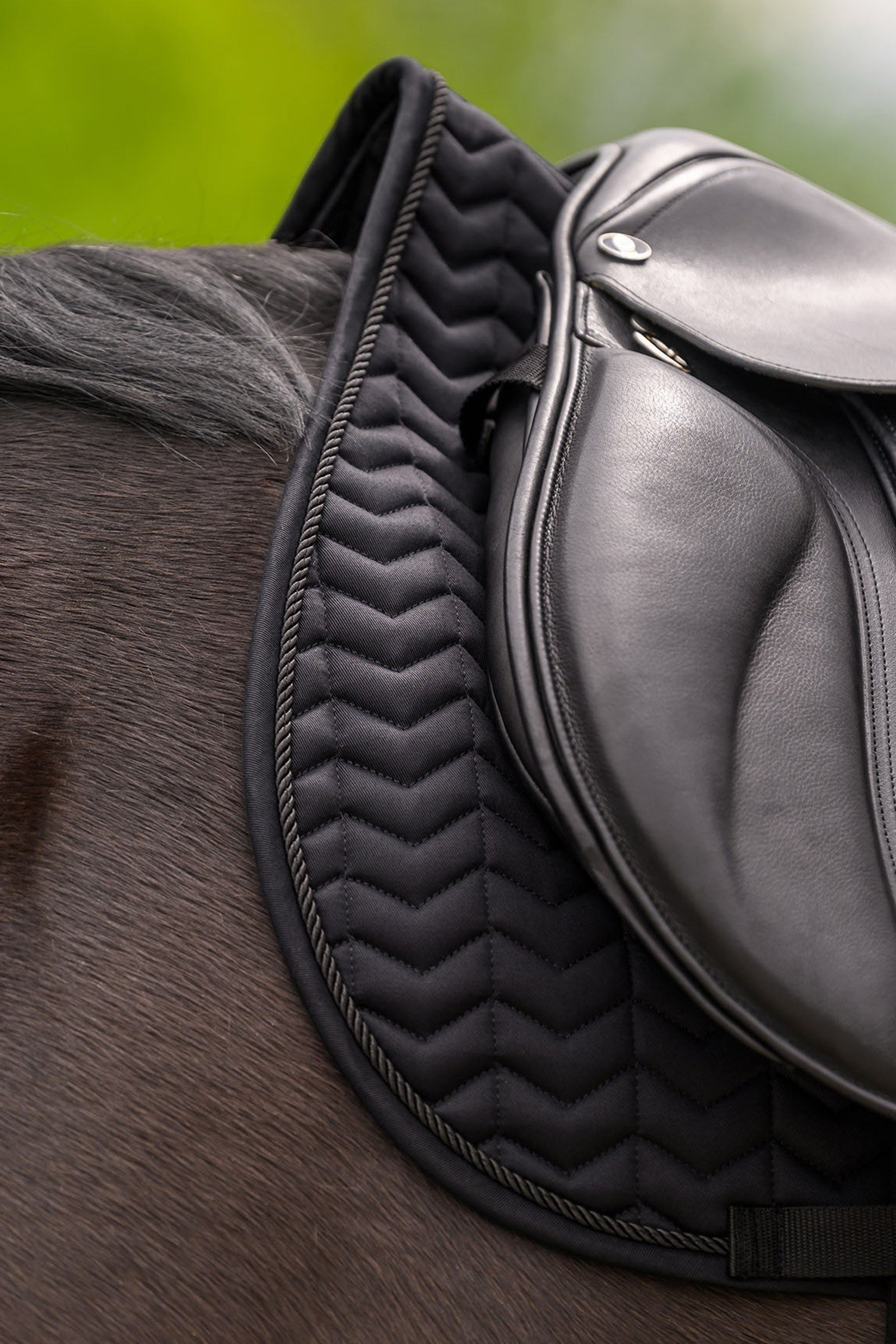 Waldhausen Classic All Purpose Saddle Pad Saddle Pads