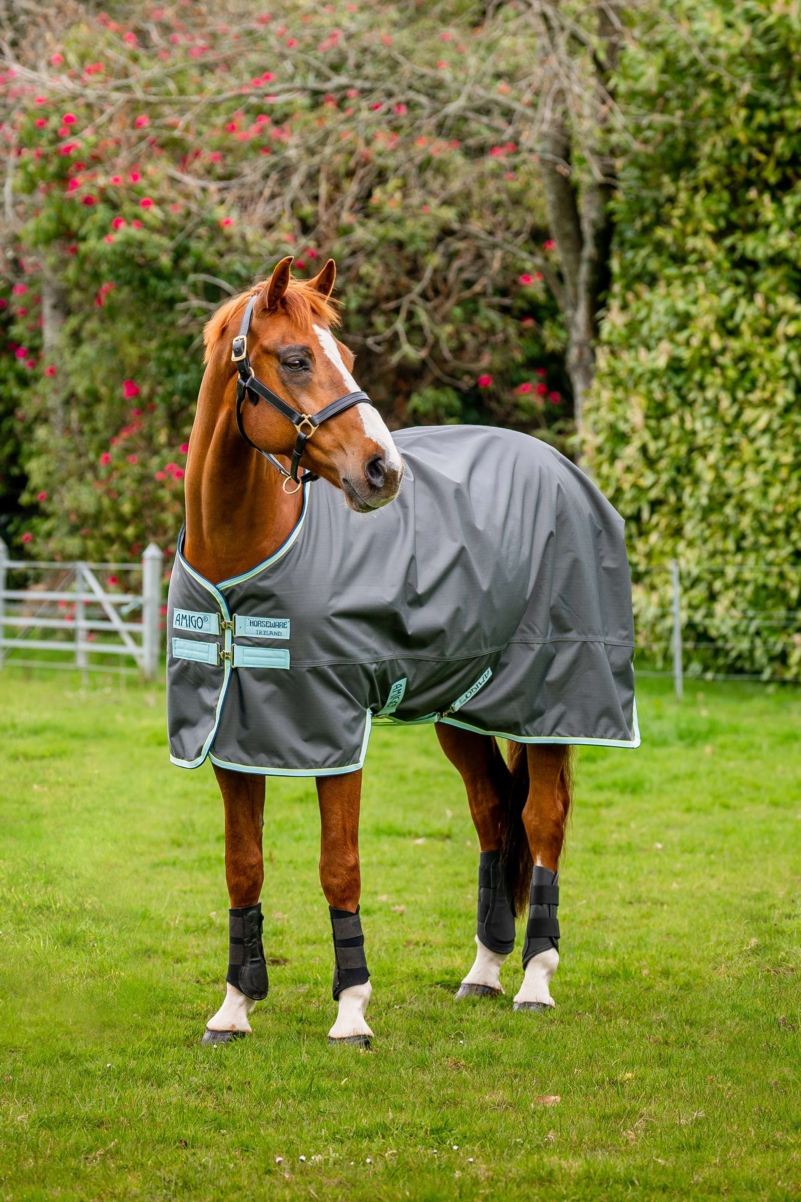 Horseware Amigo Hero Ripstop výběhová deka s fleecovou podšívkou, 50g Horse Rugs