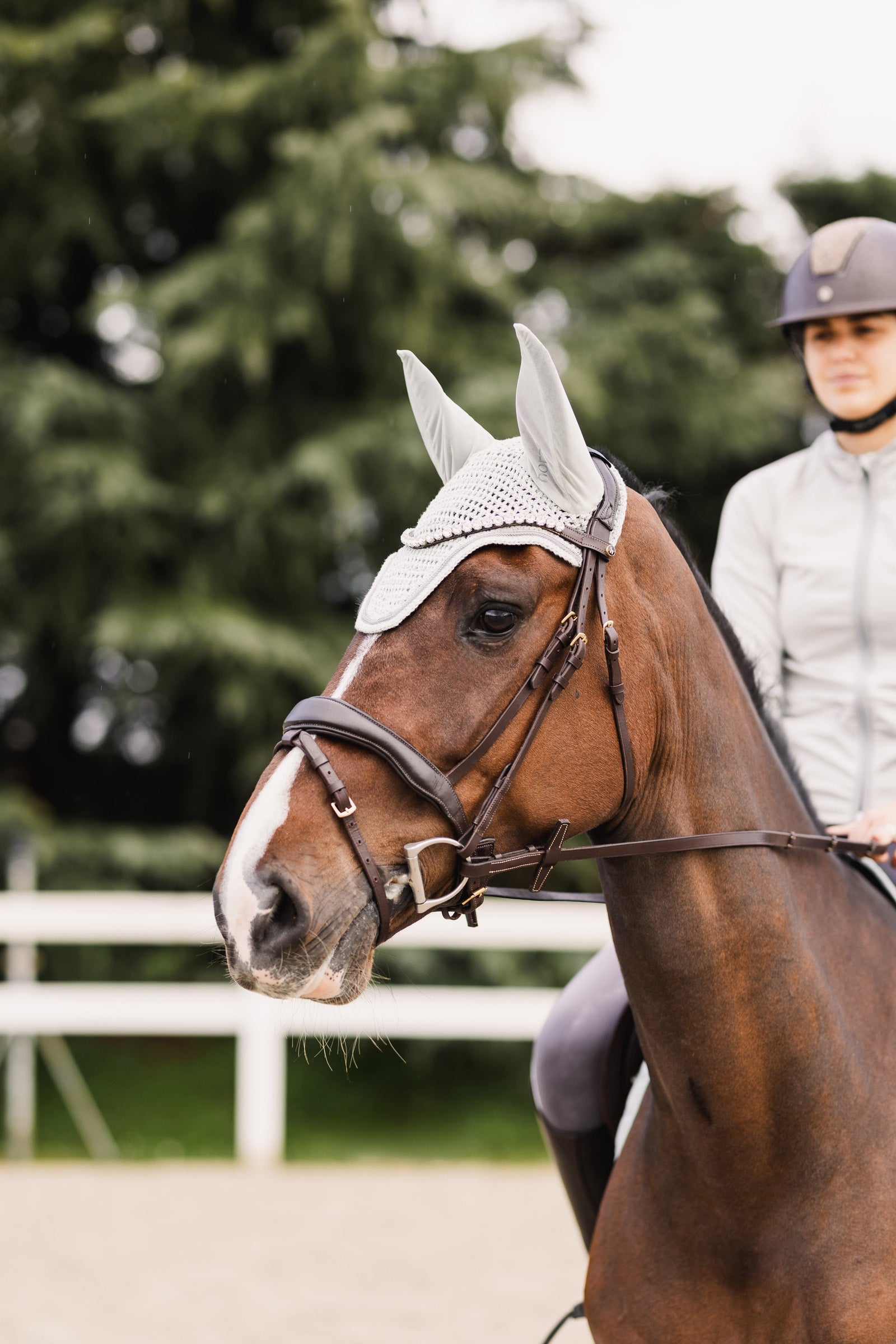 Horze Rose Tonique Fly Hood Antifly Protection for Horses