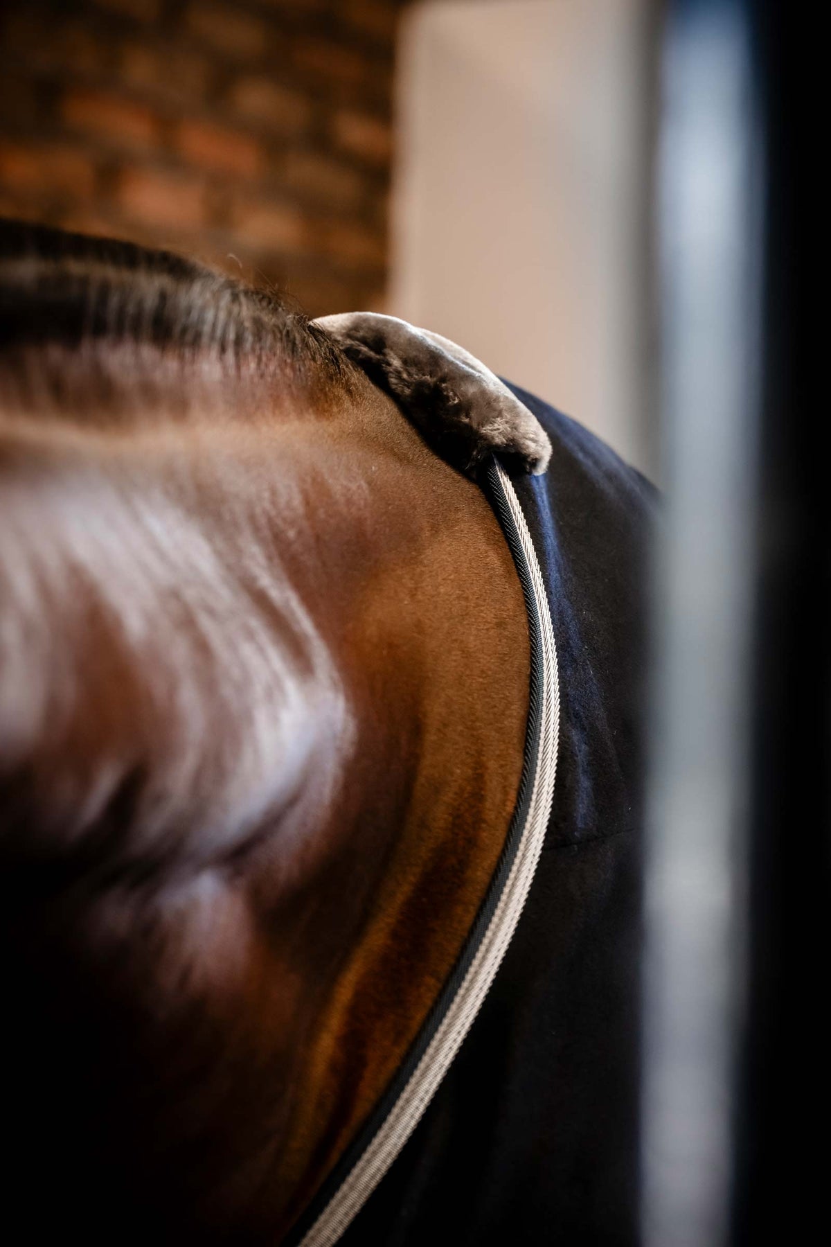 Bucas Emerald Wool Rug Horse Rugs
