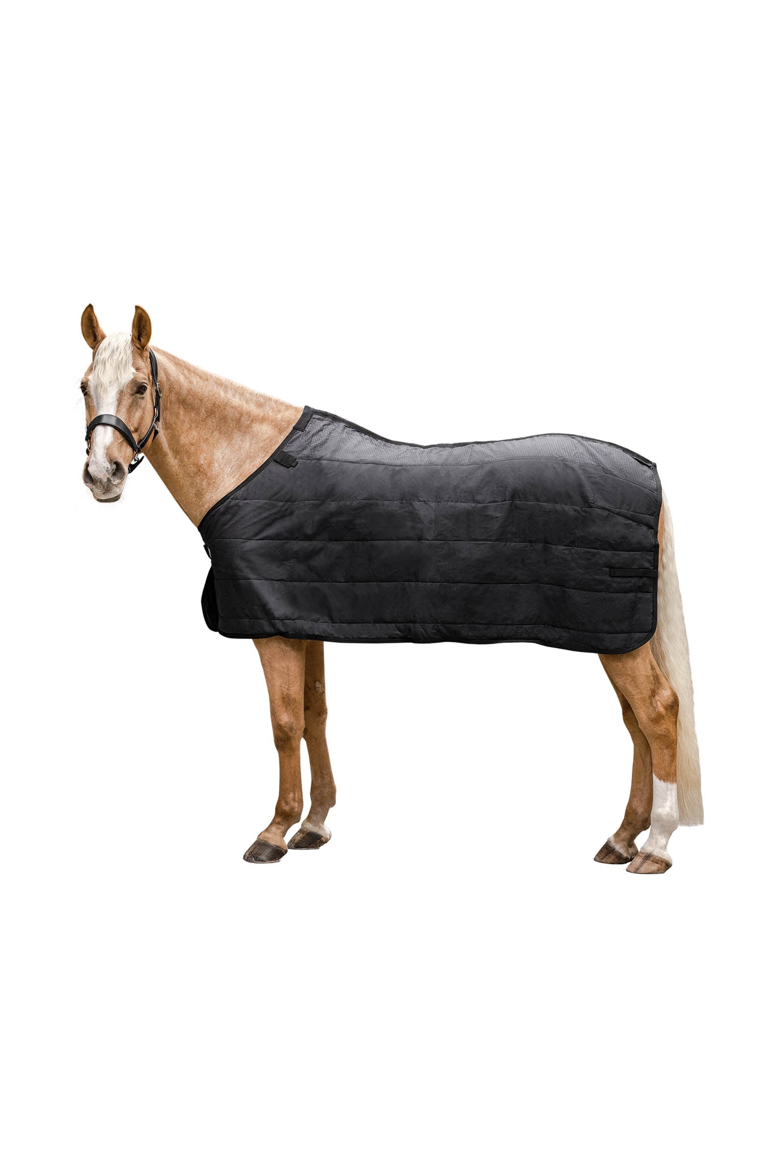 Waldhausen Thermo Underrug 100 g Horse Rugs