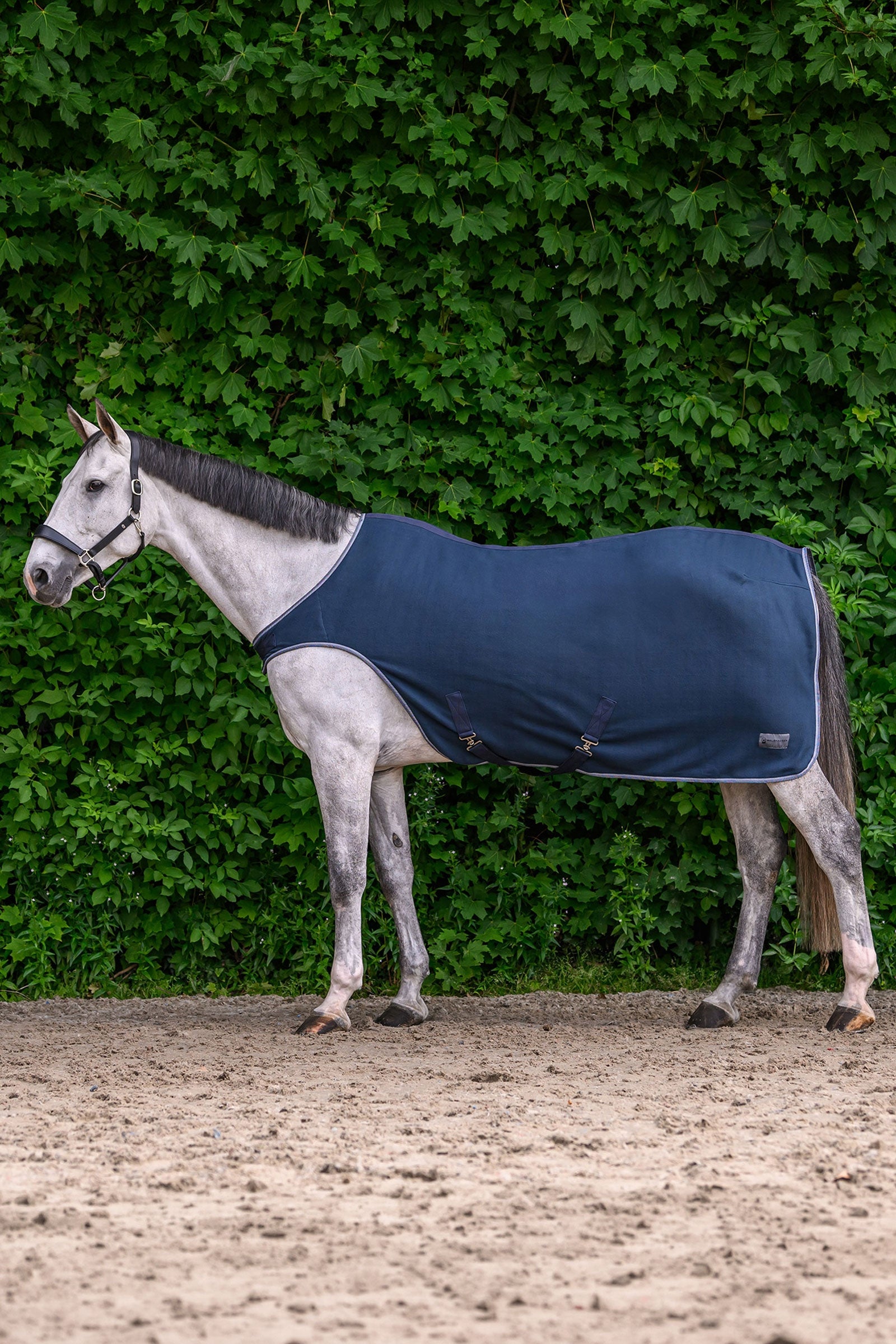 Waldhausen ECONOMIC fleecová walker deka Horse Rugs