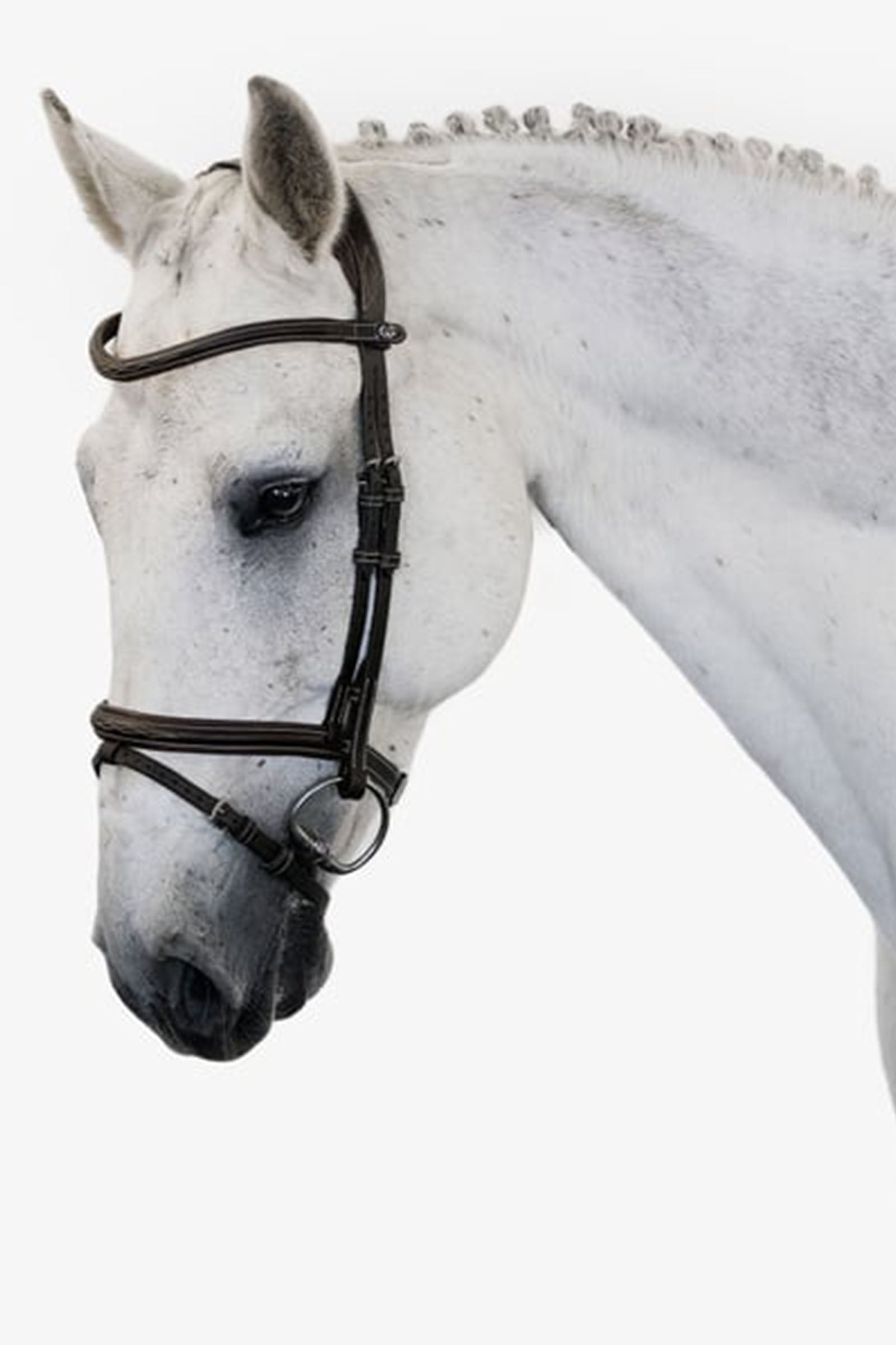 PS of Sweden bridle Stockholm Bridles & Reins