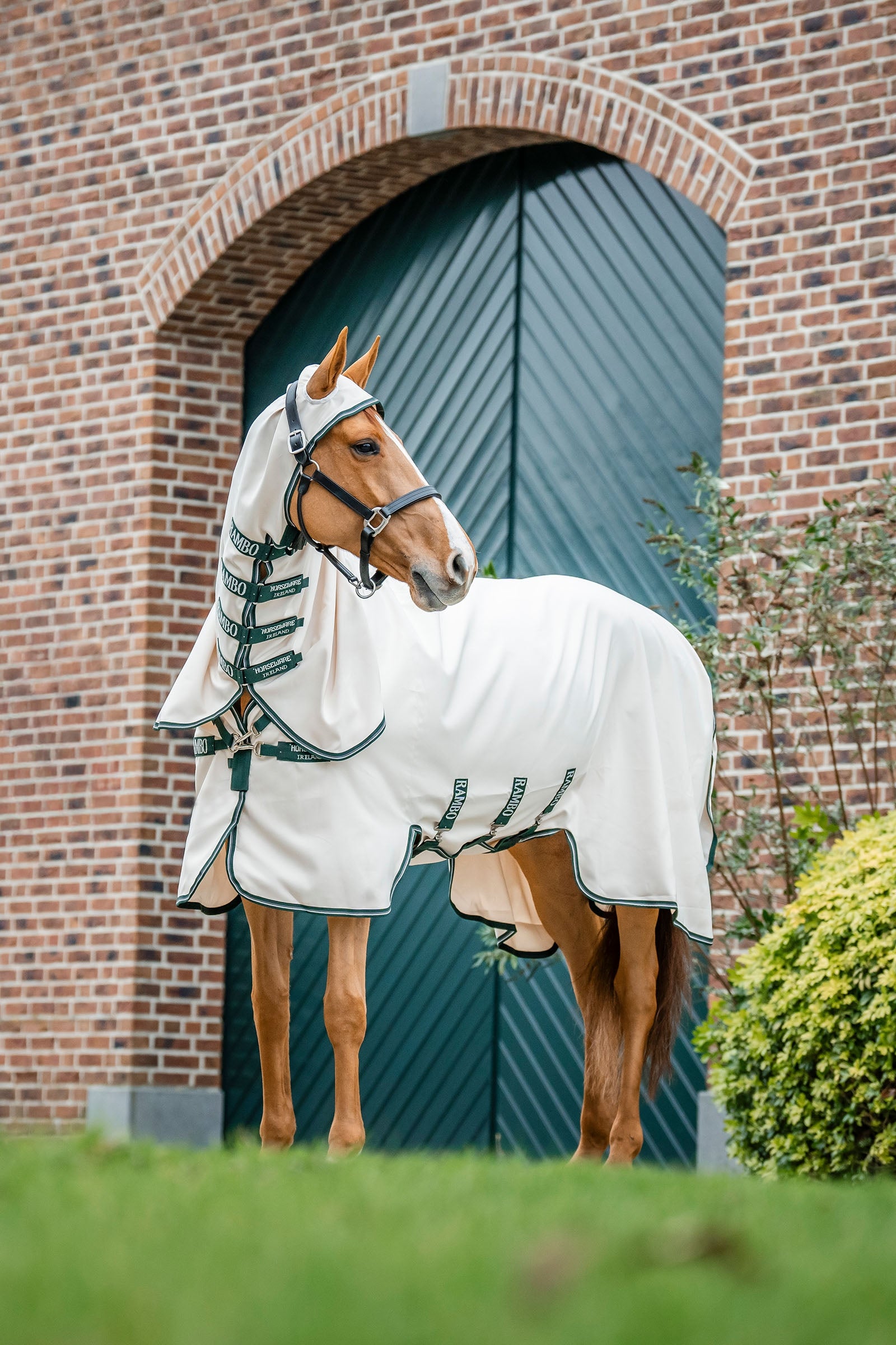 Horseware Rambo Hoody Deka proti mouchám Horse Rugs