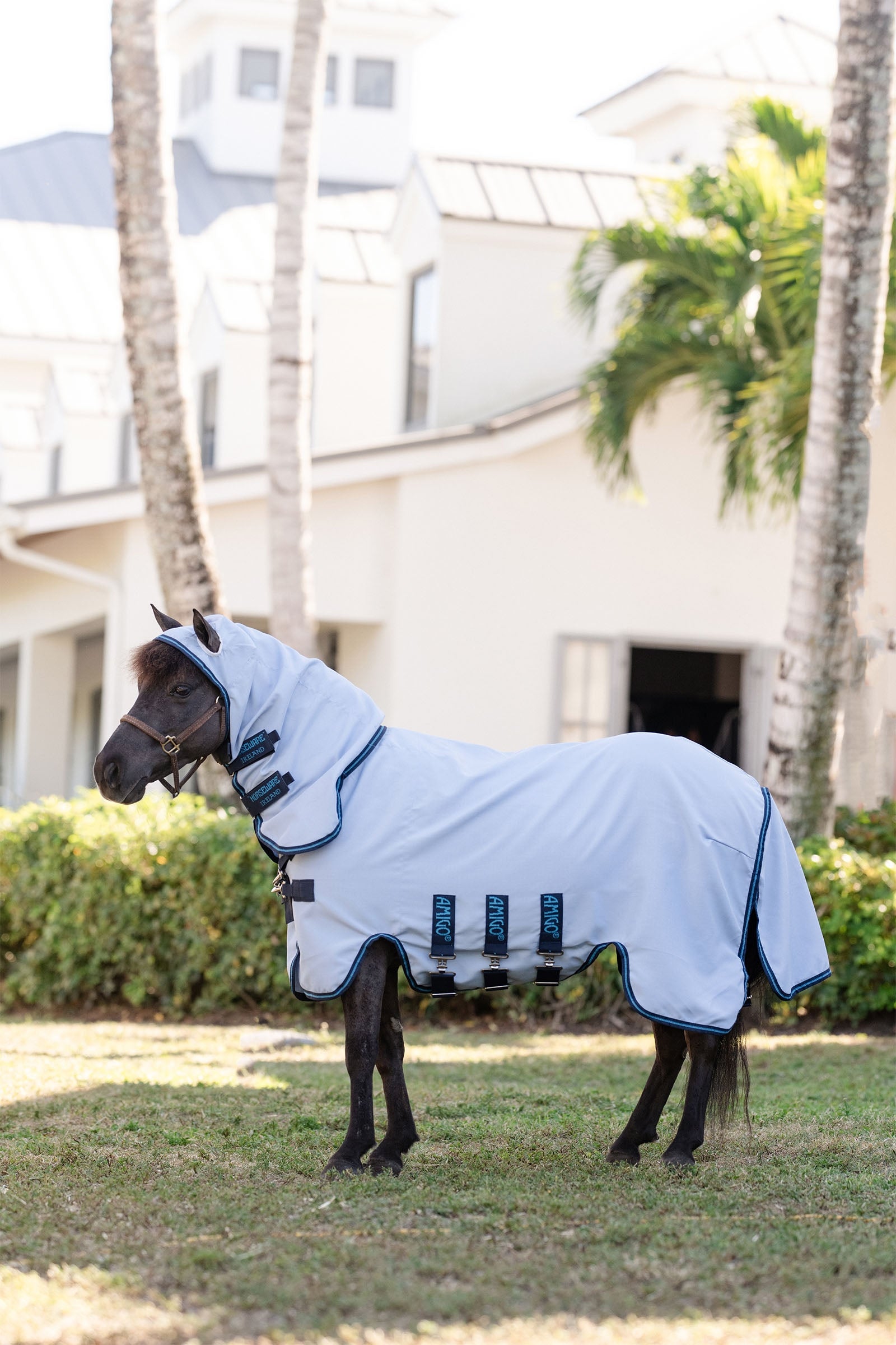Horseware Amigo Ripstop Hoody, Petite Horse Rugs