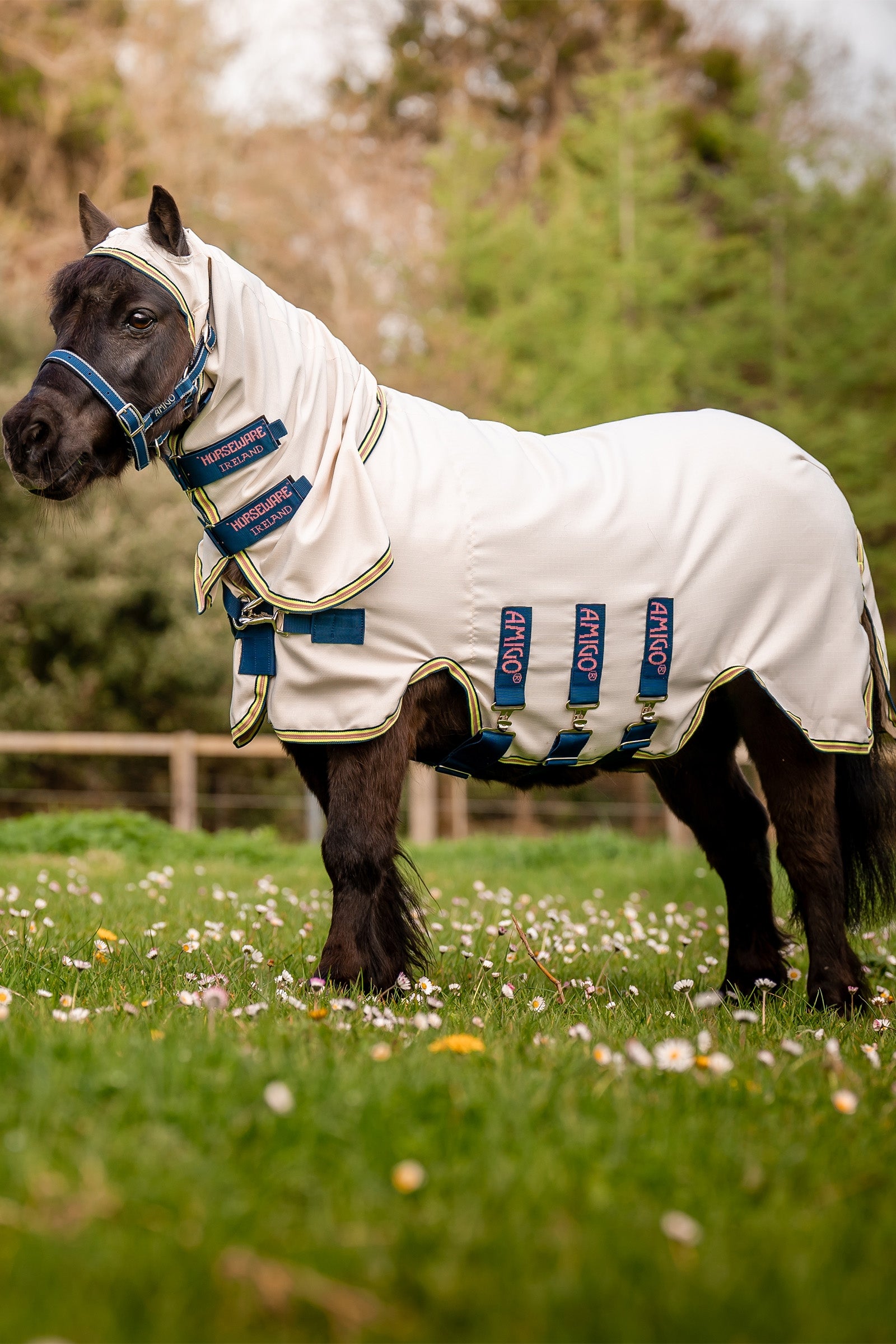 Horseware Amigo Ripstop Hoody, Petite Horse Rugs