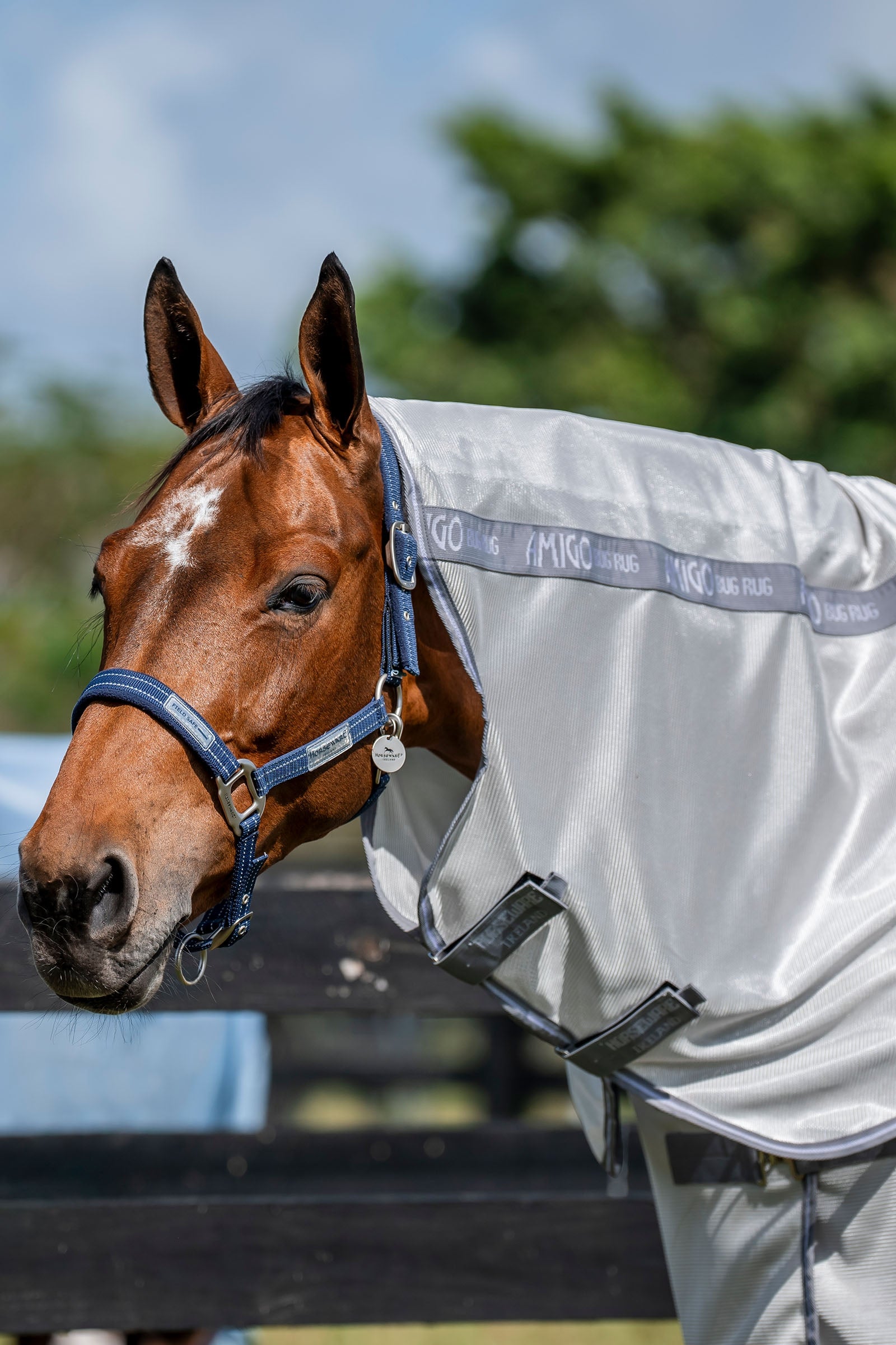 Horseware Amigo Bug Rug Plus Horse Rugs